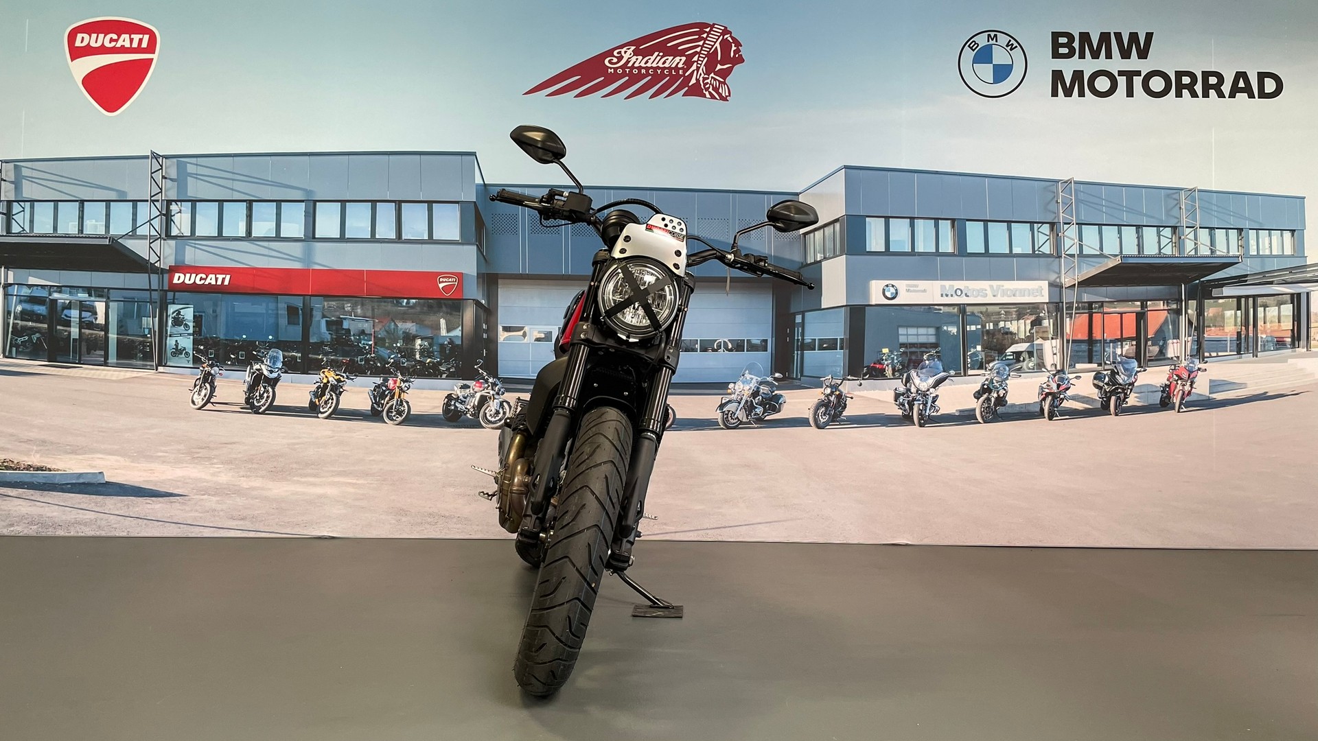 DUCATI Scrambler 803 Icon-image-1