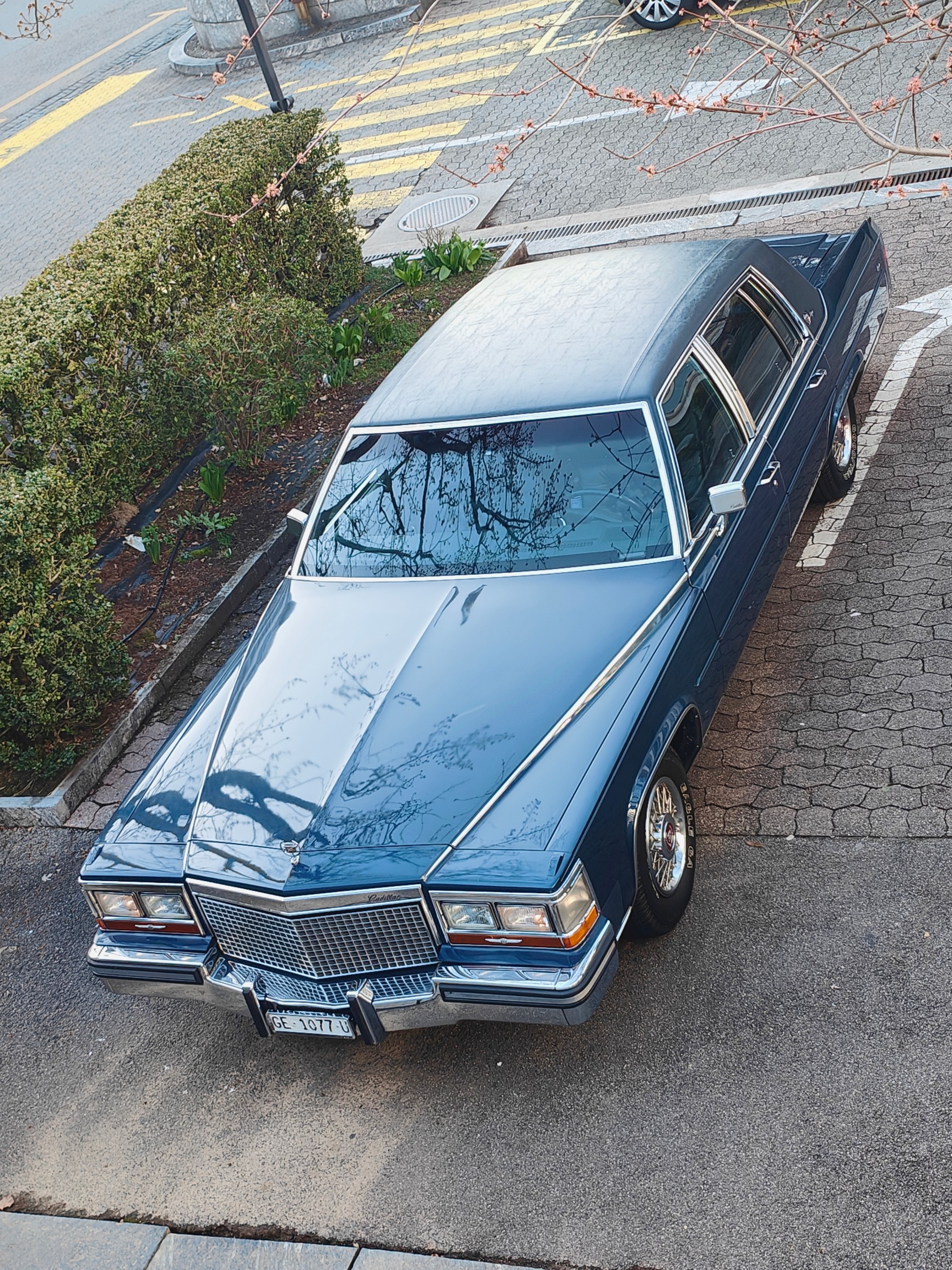 CADILLAC Brougham d' Elegance ( vétéran )