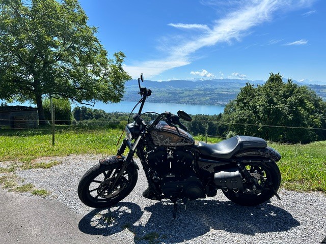 HARLEY-DAVIDSON XL 1200 NS Iron ABS-image-2
