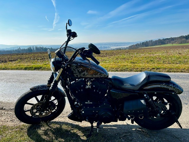 HARLEY-DAVIDSON XL 1200 NS Iron ABS-image-4