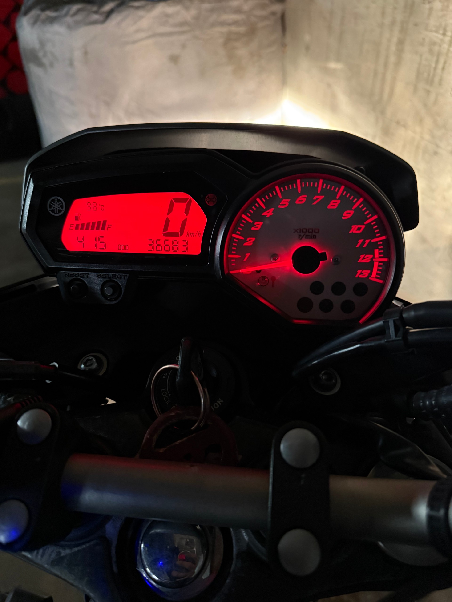 YAMAHA FZ8 N ABS-image-5