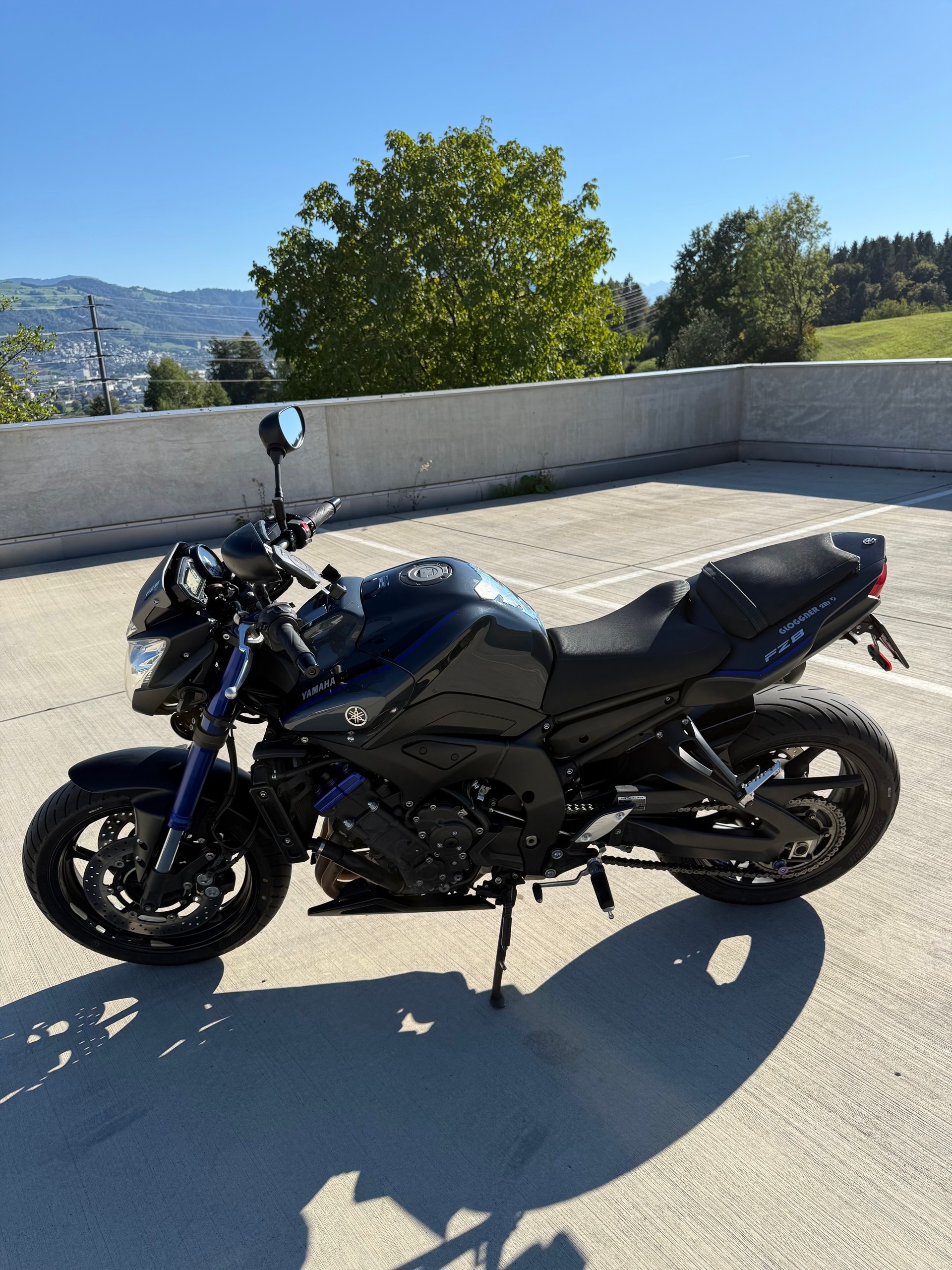 YAMAHA FZ8 N ABS-image-3