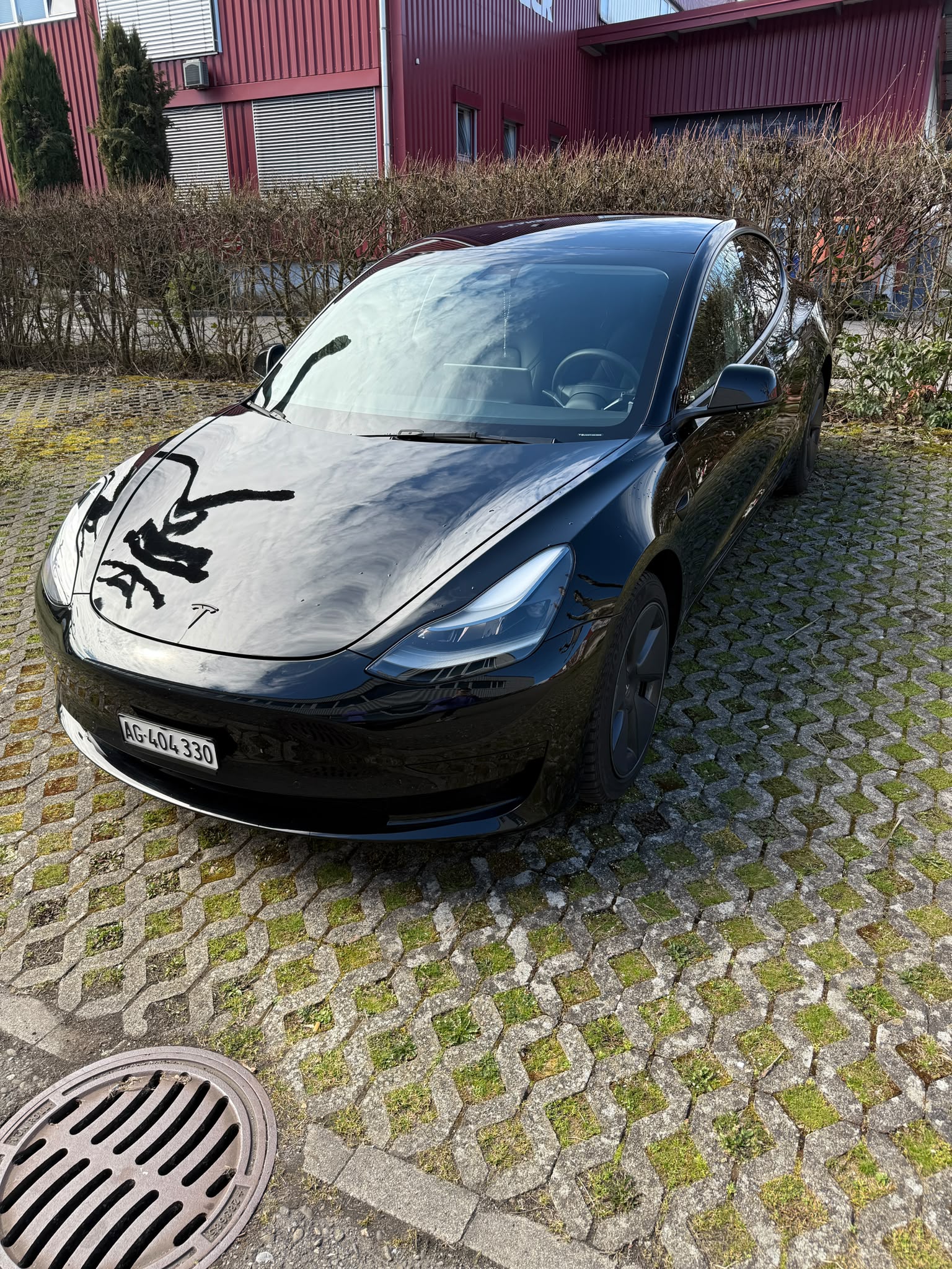 TESLA Standart Range Plus