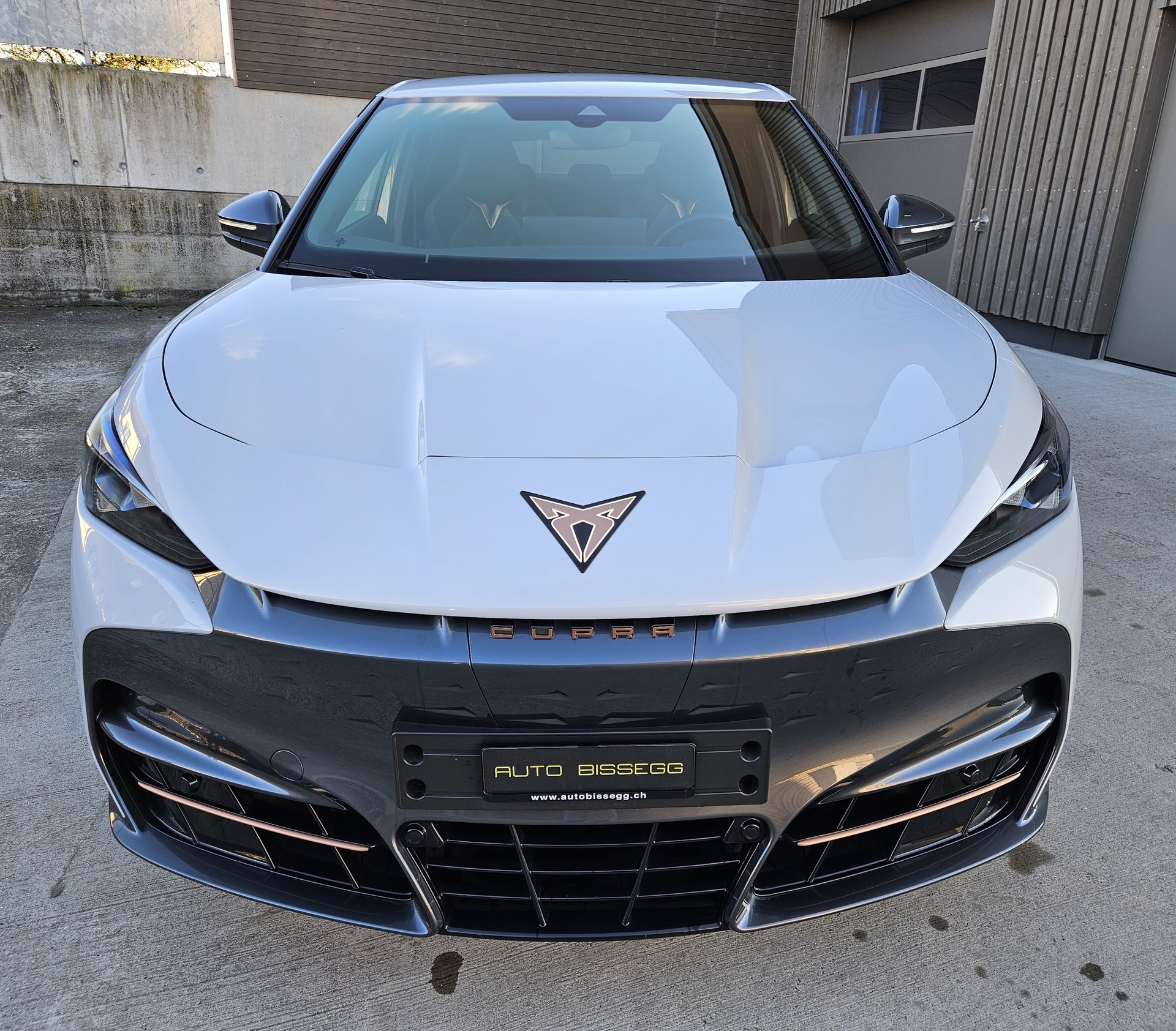 CUPRA Tavascan Type 4 77 kWh Endurance Edge-showroom-element-1