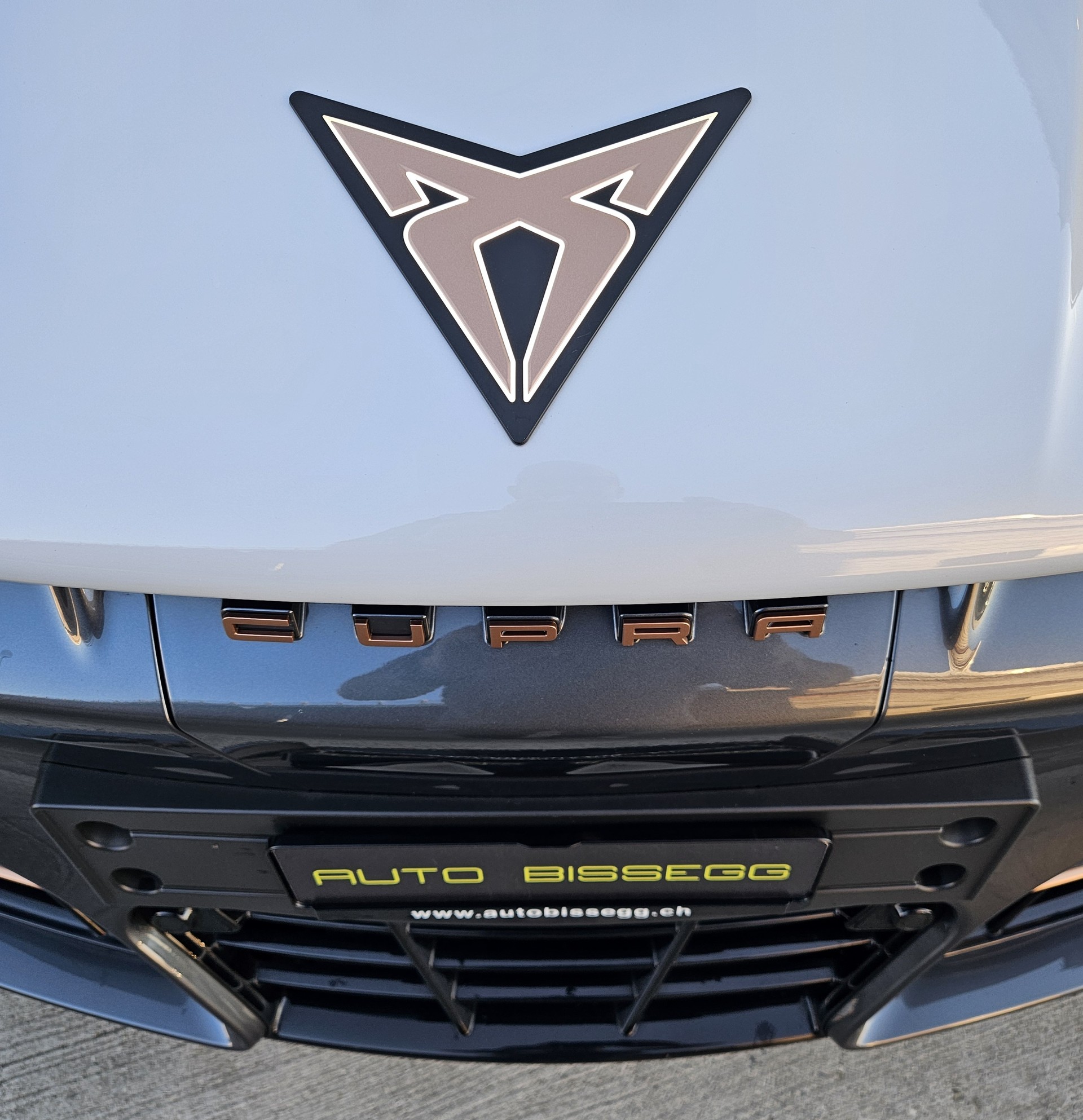 CUPRA Tavascan Type 4 77 kWh Endurance Edge-showroom-element-2