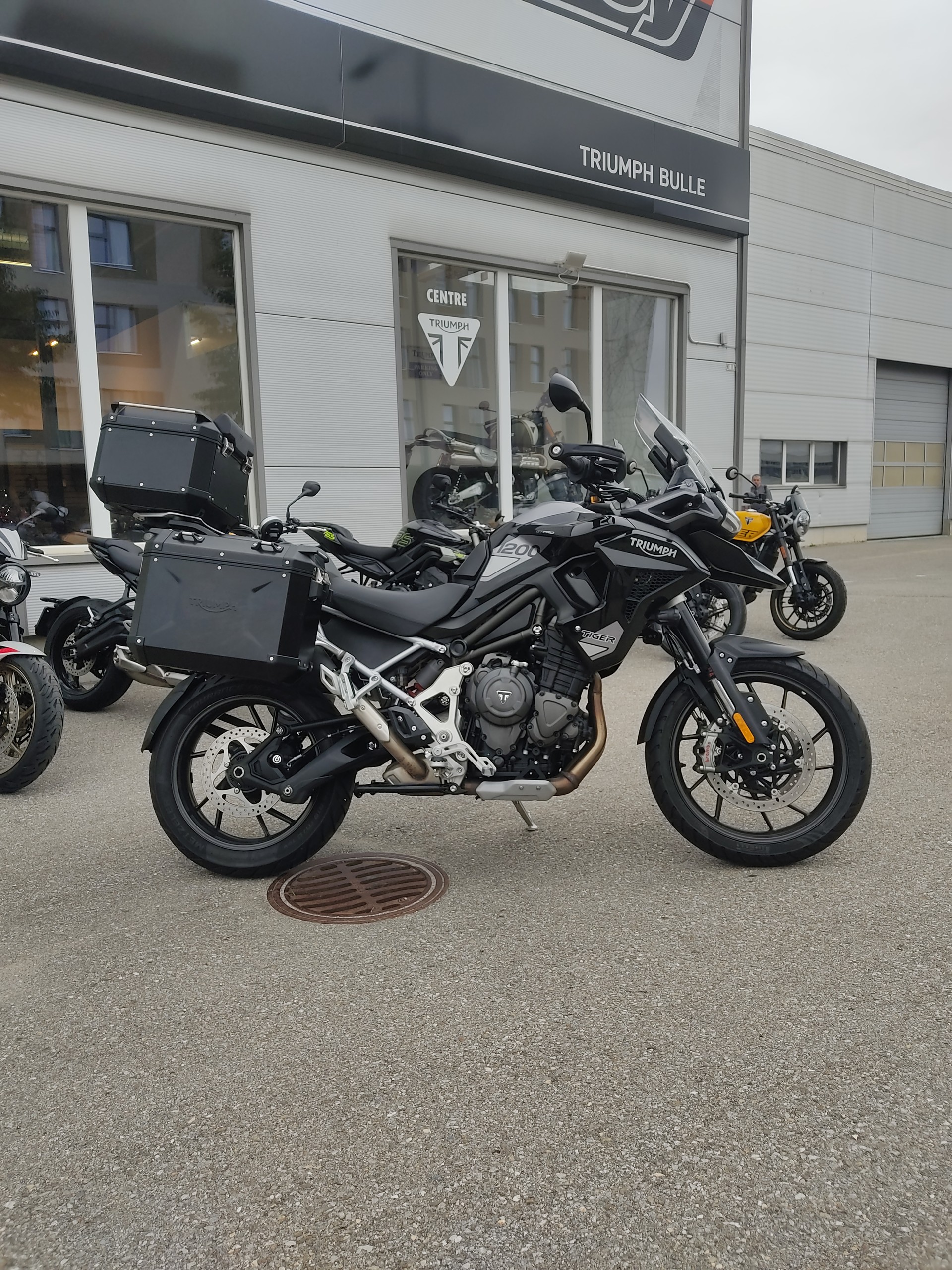 TRIUMPH Tiger 1200 GT Pro-image-1