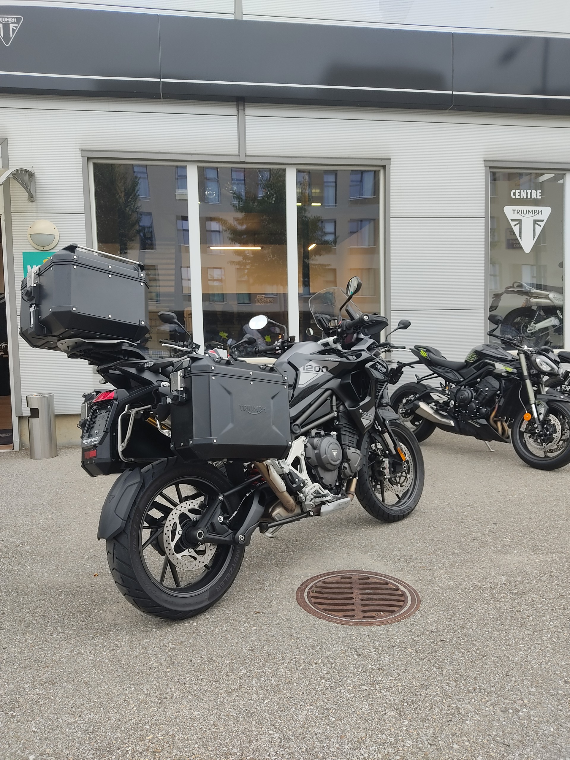 TRIUMPH Tiger 1200 GT Pro-image-2