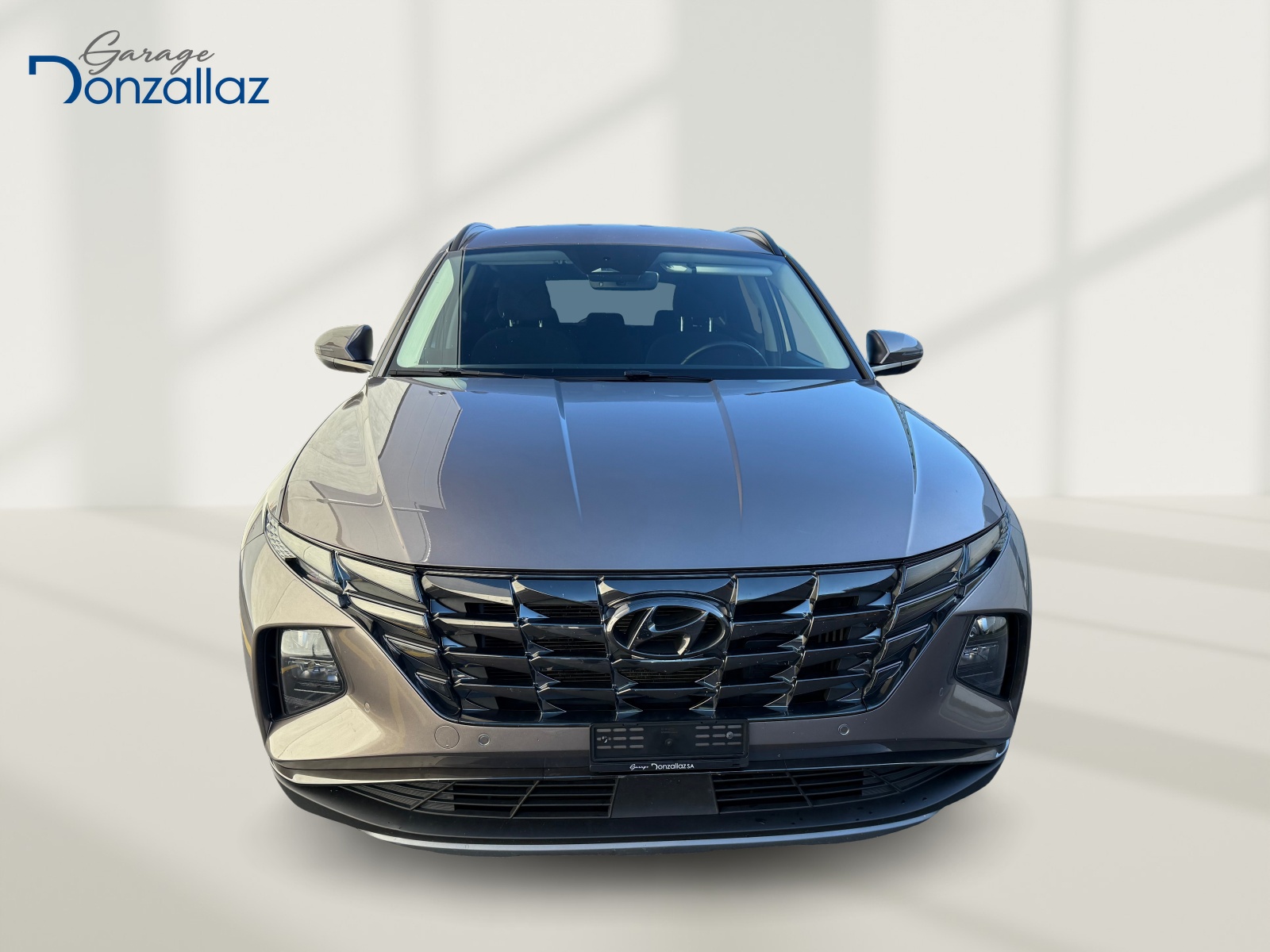 HYUNDAI Tucson 1.6 TGDI HEV Amplia 4WD(M)-showroom-element-1