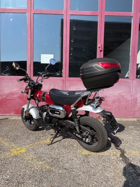 HONDA St 125 Dax-image-4