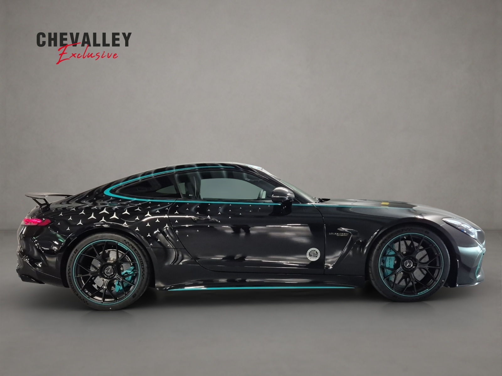 MERCEDES-BENZ AMG GT 63 PRO 4MATIC+ "Motorsport Collectors Edition" 1 of 200-showroom-element-3
