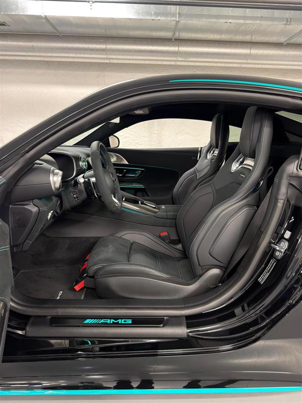 MERCEDES-BENZ AMG GT 63 PRO 4MATIC+ "Motorsport Collectors Edition" 1 of 200-image-8