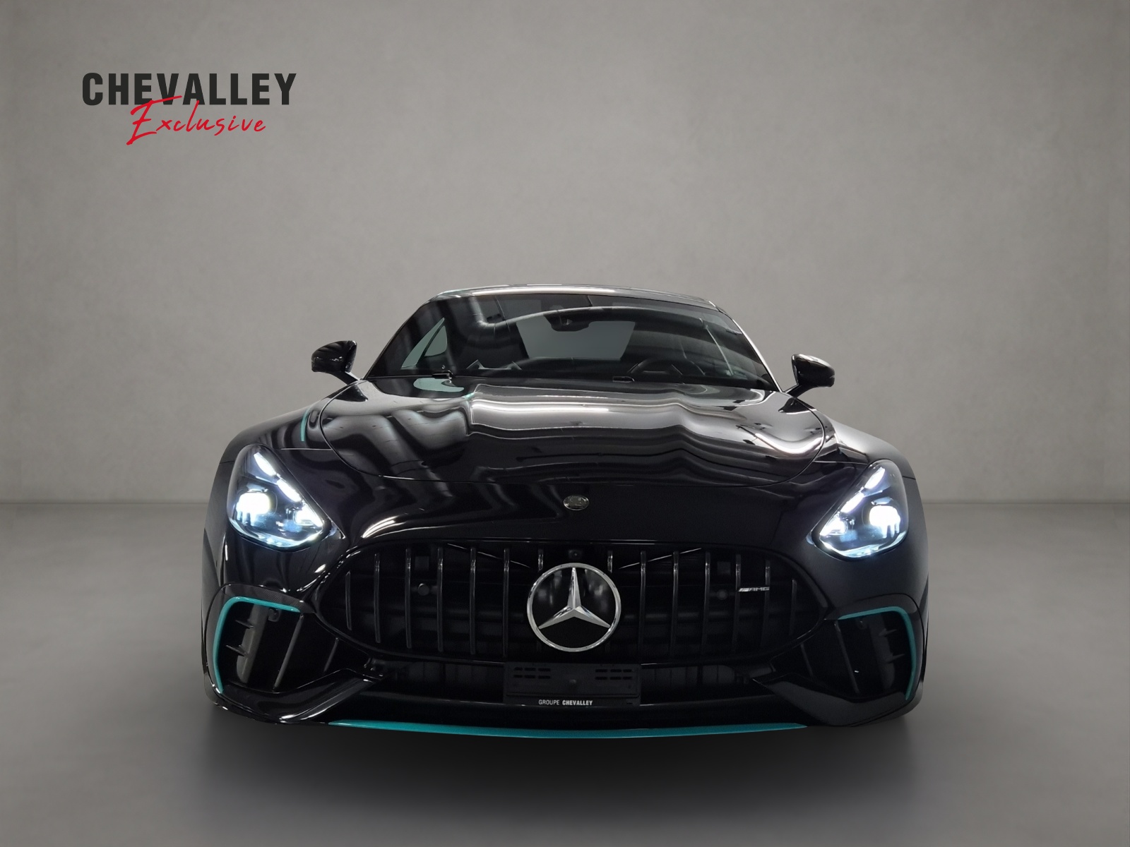 MERCEDES-BENZ AMG GT 63 PRO 4MATIC+ "Motorsport Collectors Edition" 1 of 200-showroom-element-1