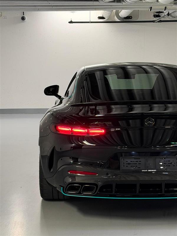 MERCEDES-BENZ AMG GT 63 PRO 4MATIC+ "Motorsport Collectors Edition" 1 of 200-image-19