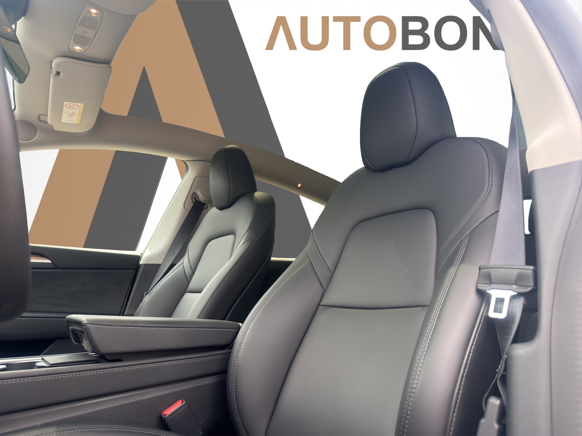 TESLA Model Y Performance D Anhängerkupplung-image-17