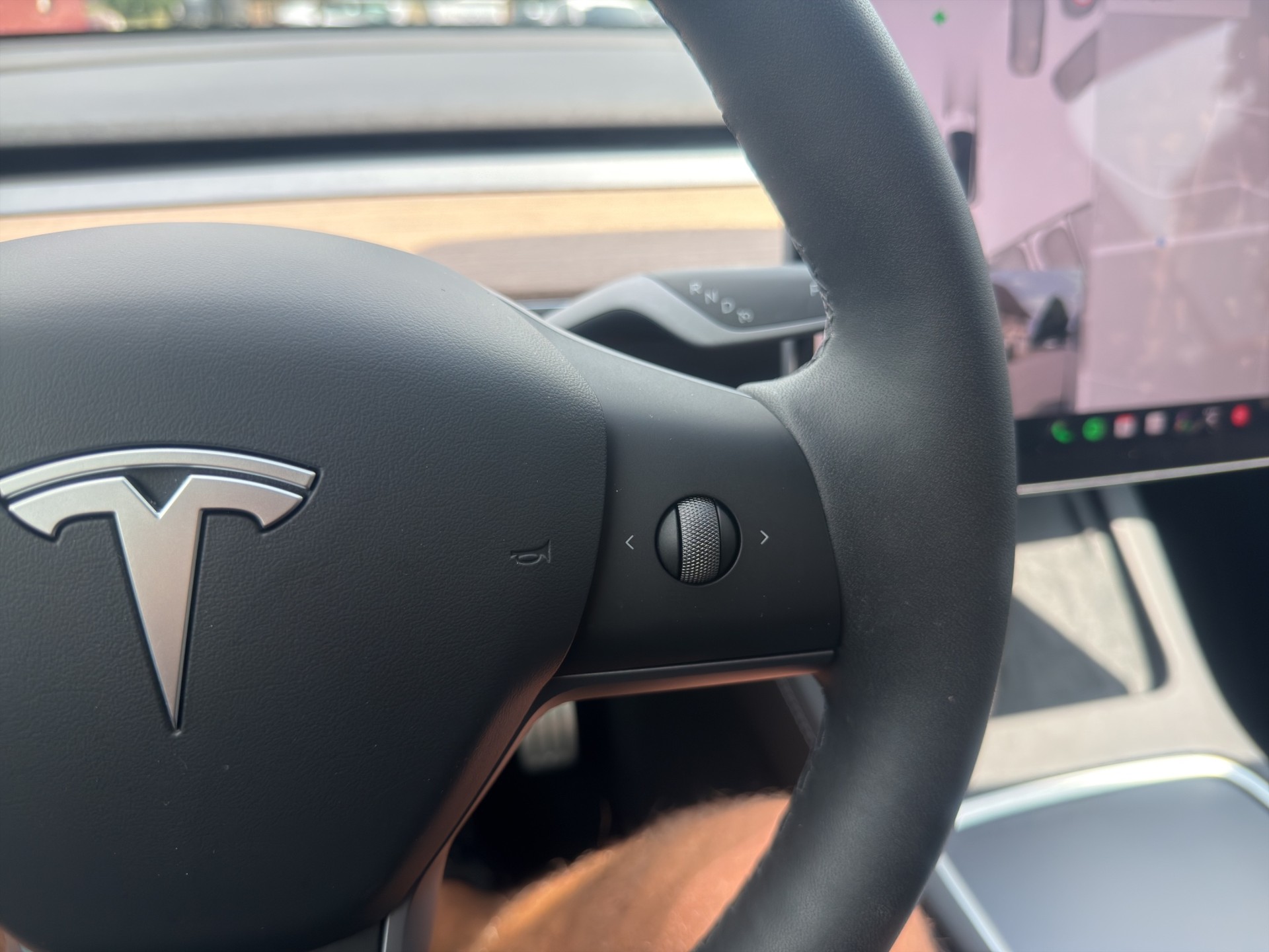 TESLA Model Y Performance D Anhängerkupplung-image-28