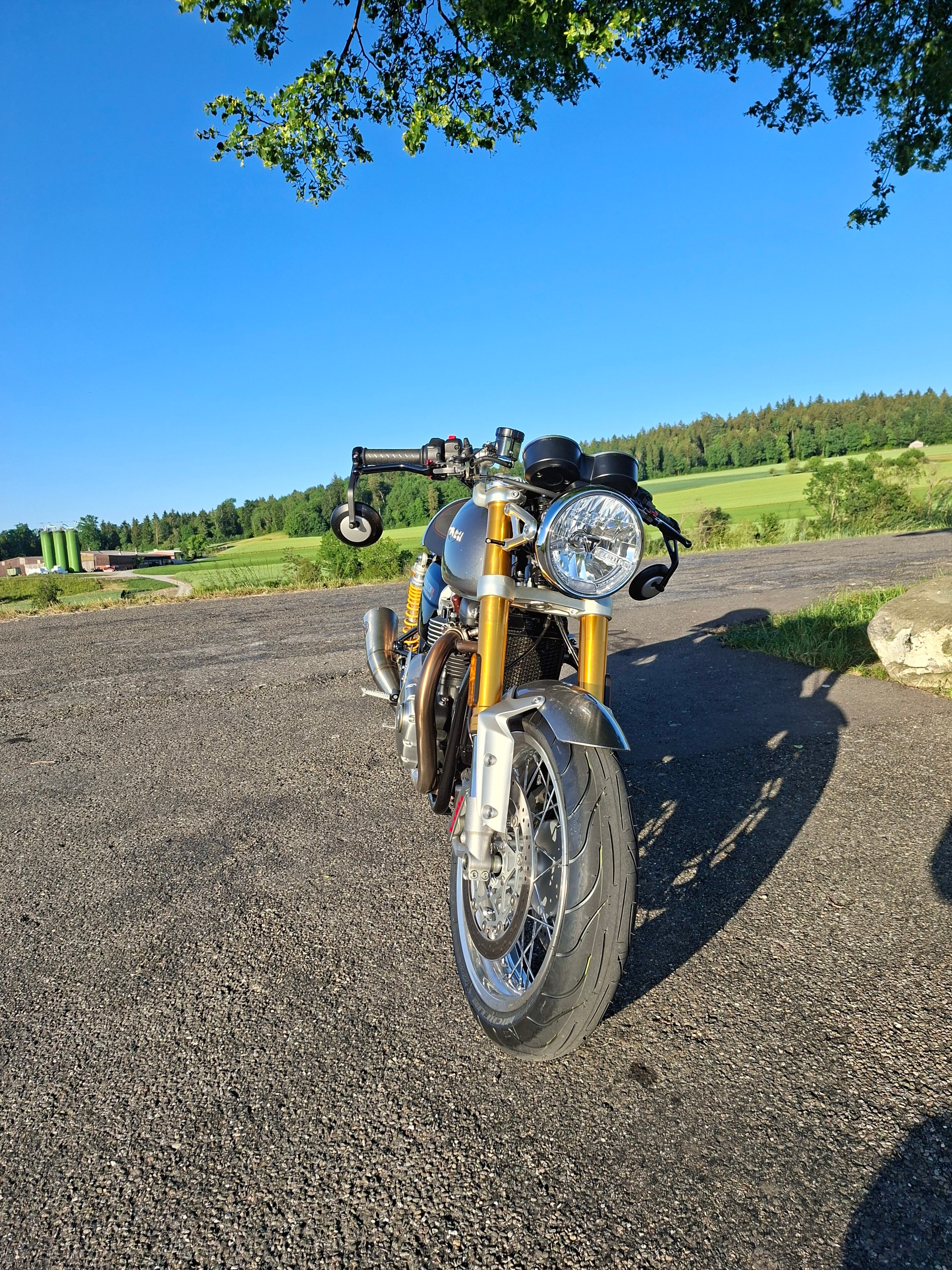 TRIUMPH Thruxton R 1200 i ABS-image-1