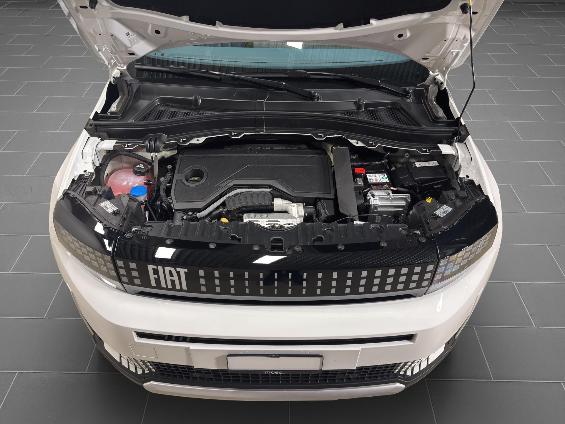 FIAT Grande Panda 1.2 Hybrid La Prima-image-20