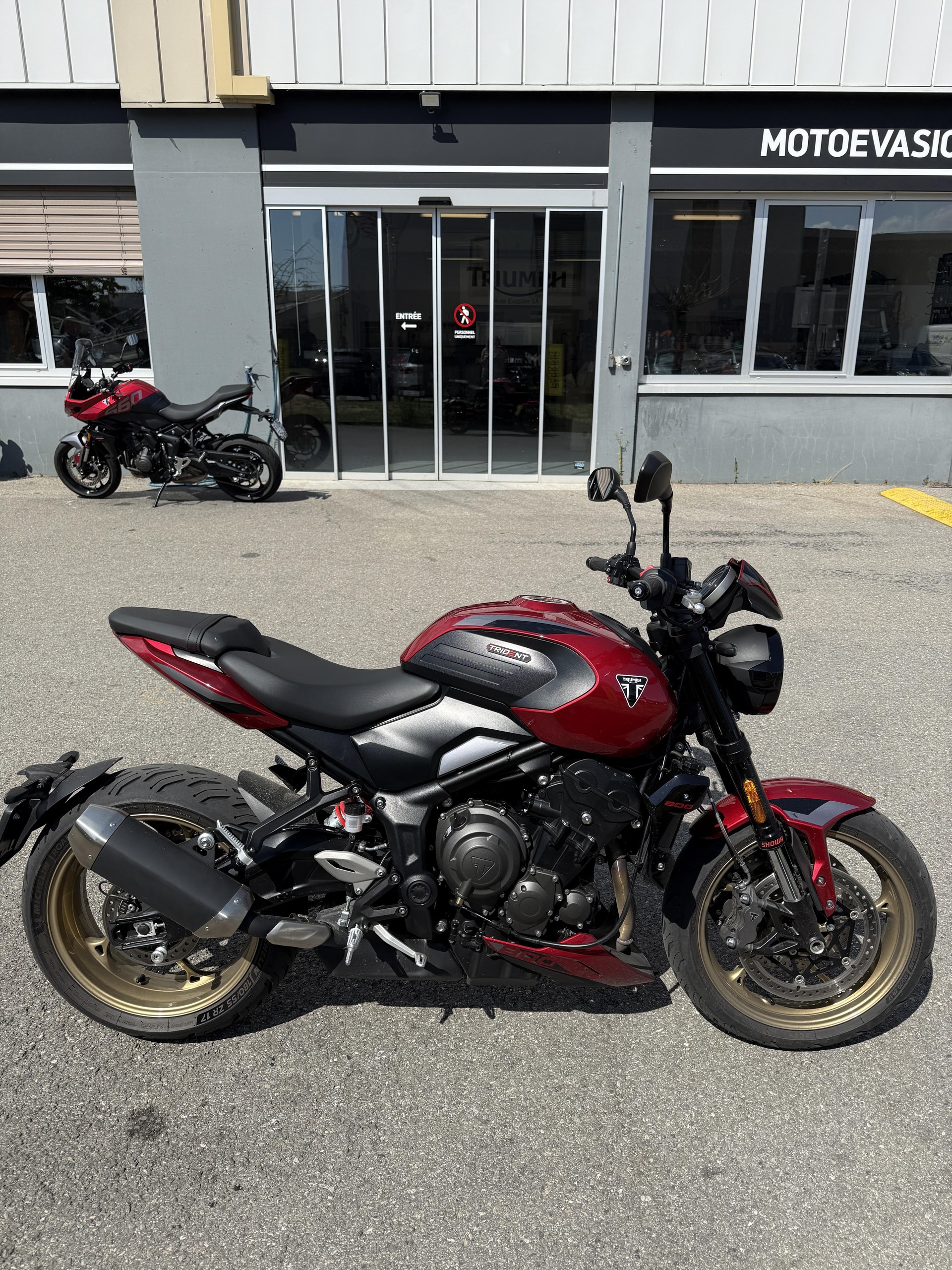 TRIUMPH Trident 800