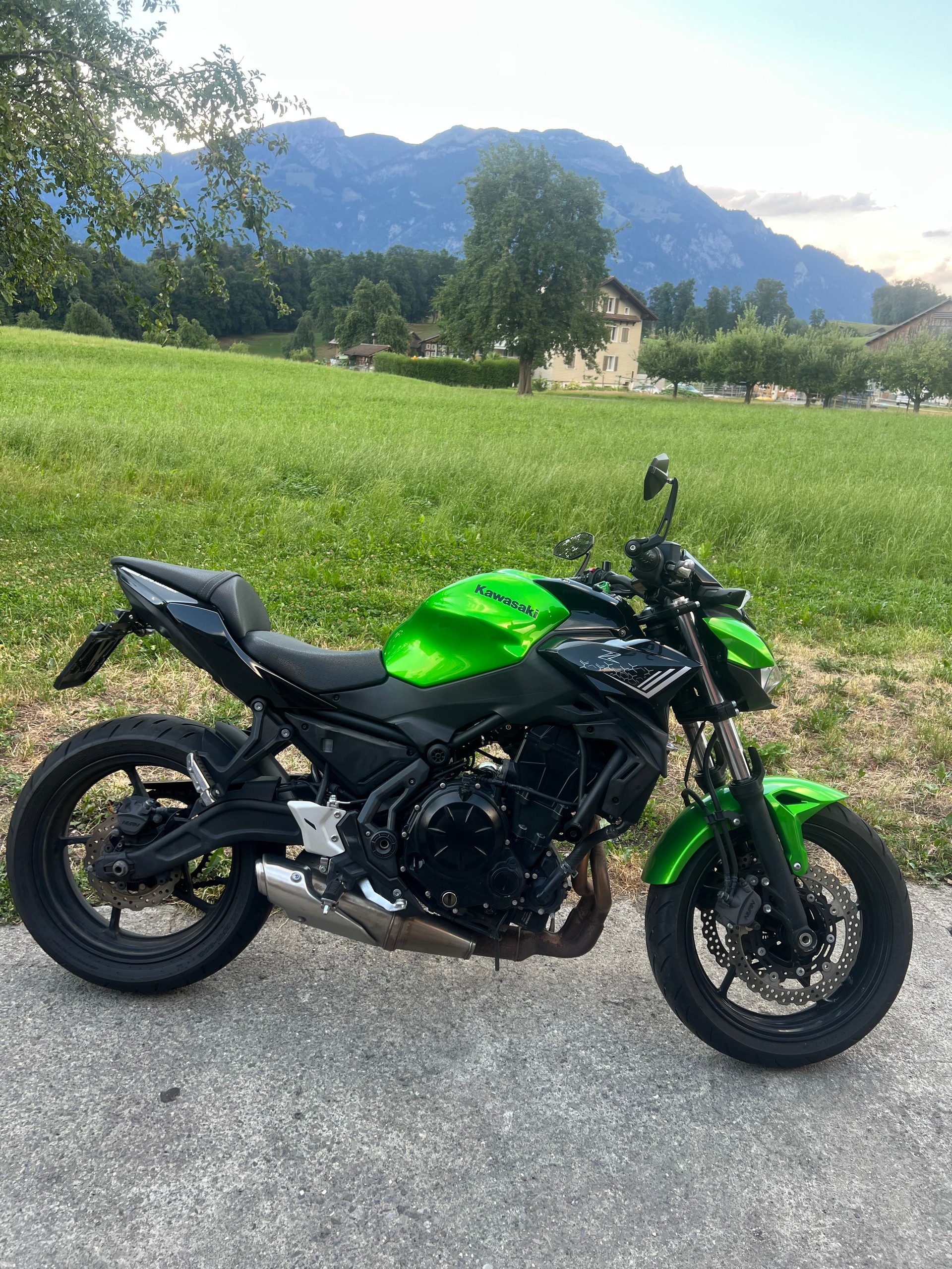 KAWASAKI Z 650 (35kW)-image-6