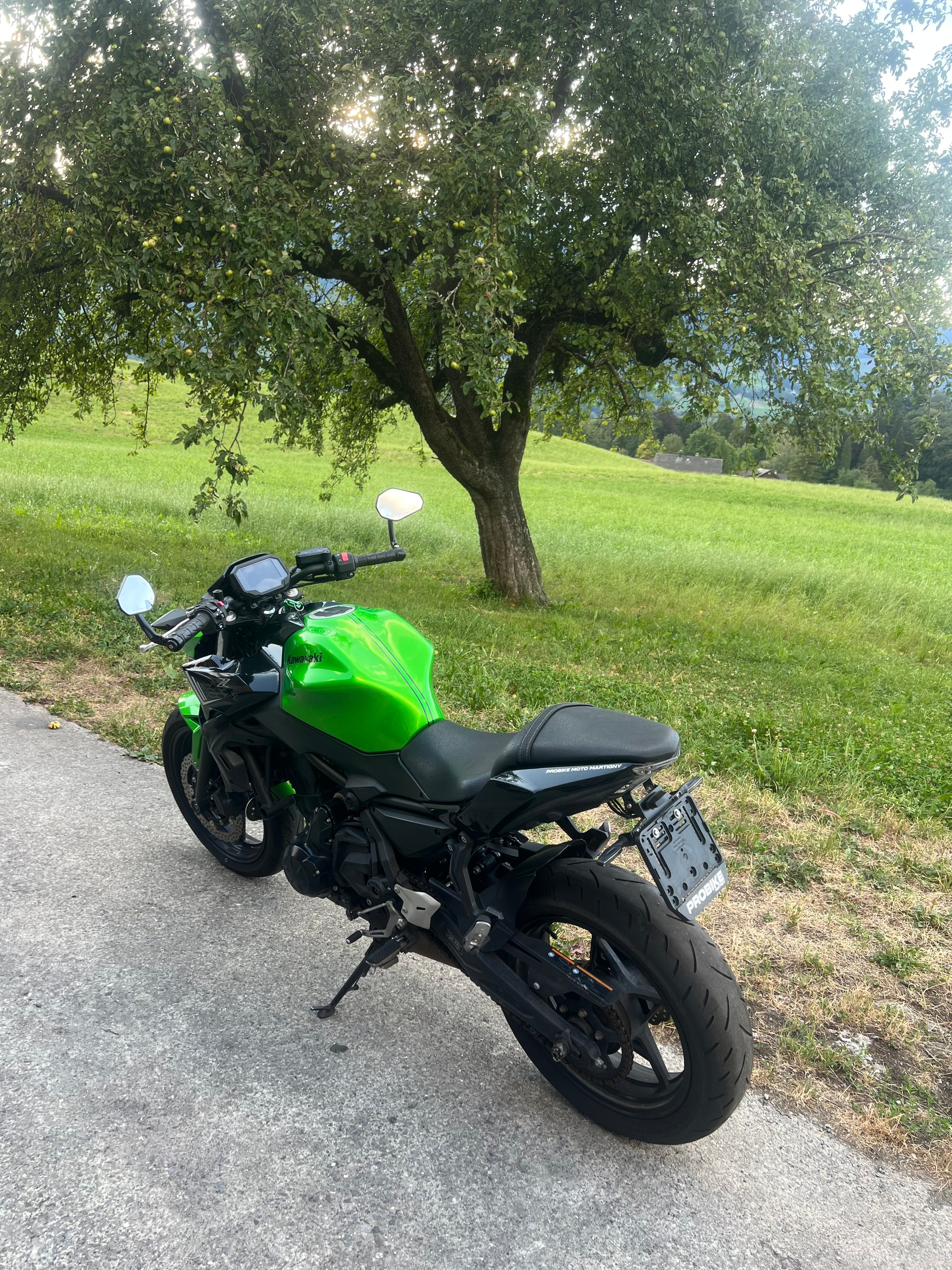 KAWASAKI Z 650 (35kW)-image-4