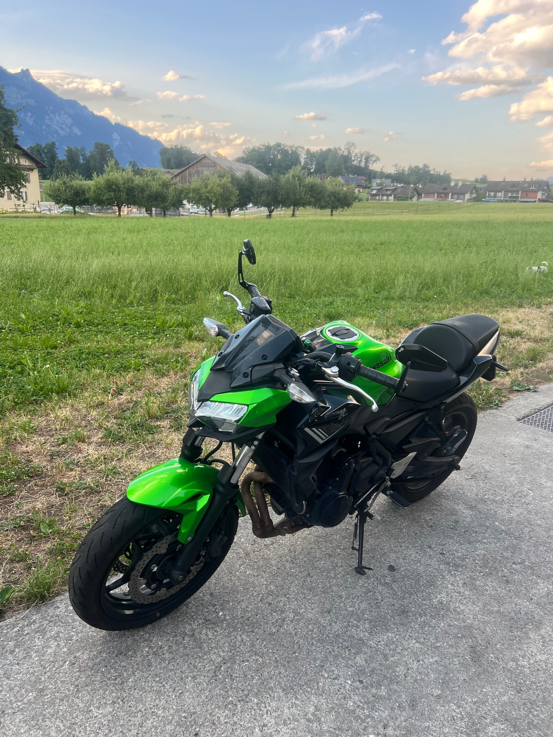 KAWASAKI Z 650 (35kW)-image-5