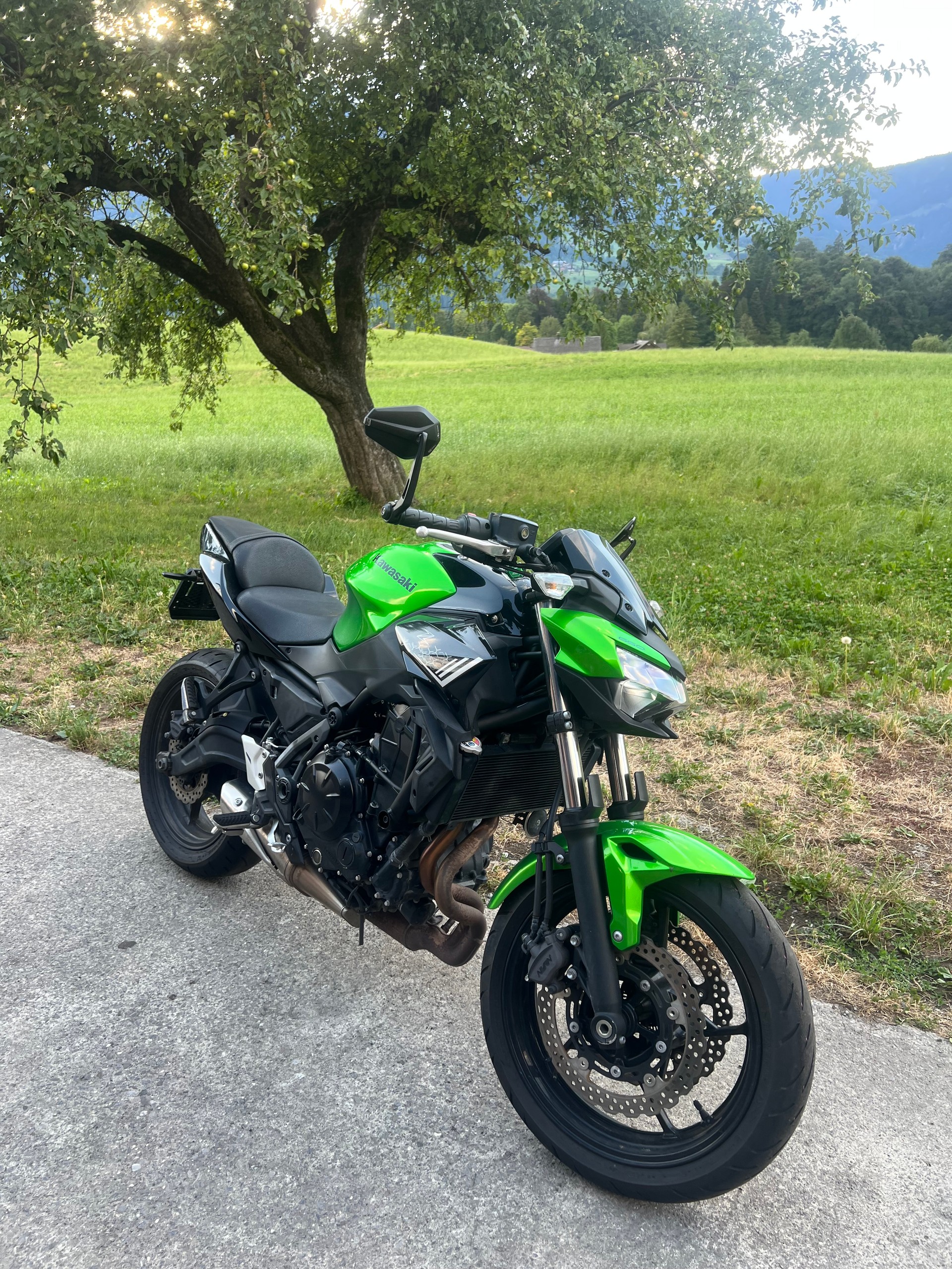 KAWASAKI Z 650 (35kW)-image-1