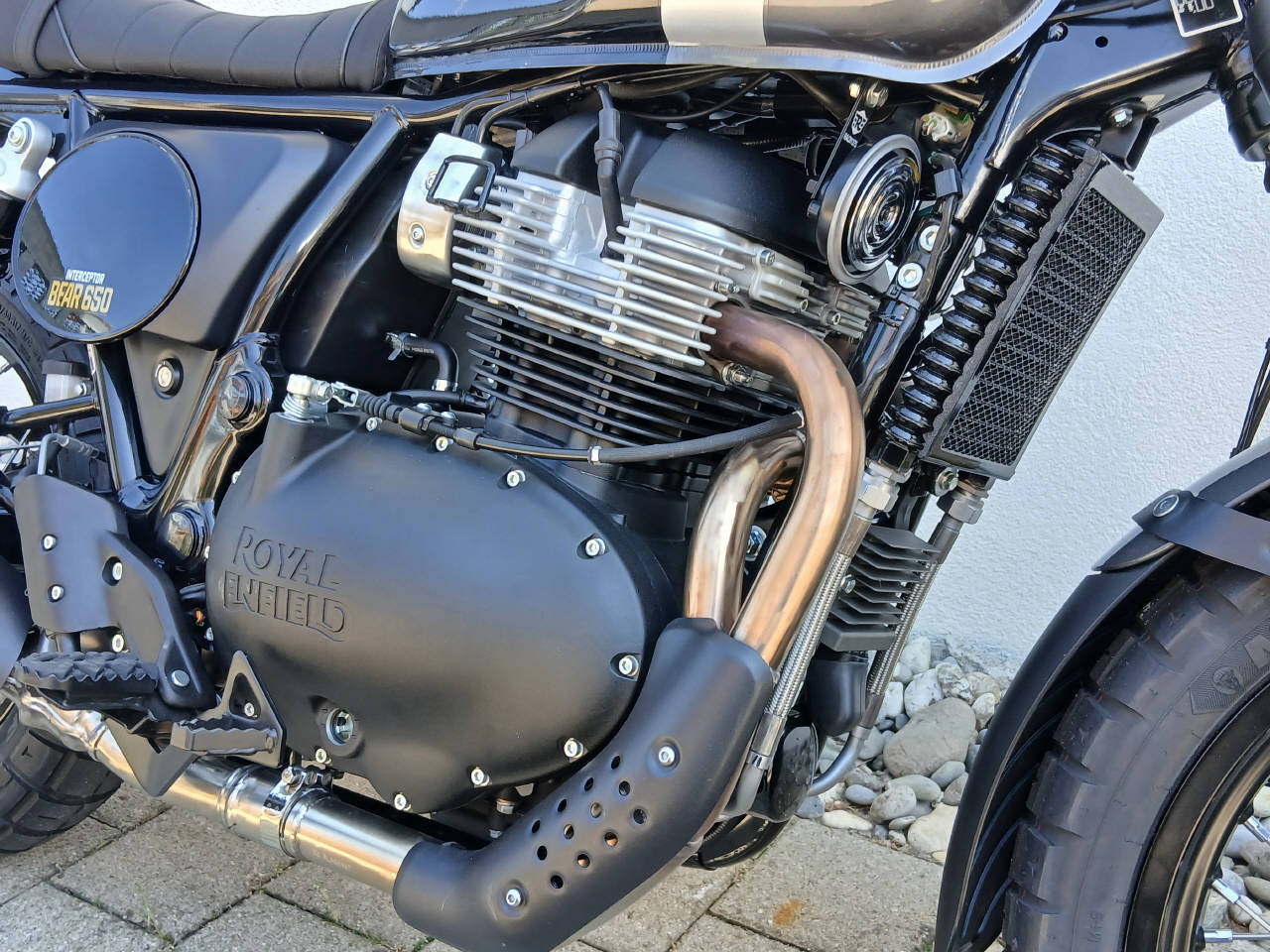 ROYAL ENFIELD Bear 650 Mid-image-7