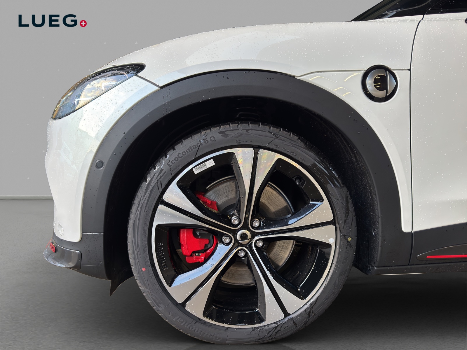 SMART #3 66kWh BRABUS-image-5