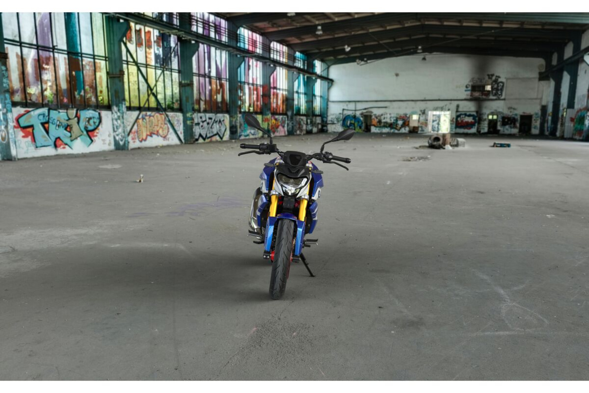 BMW G 310 R-image-2