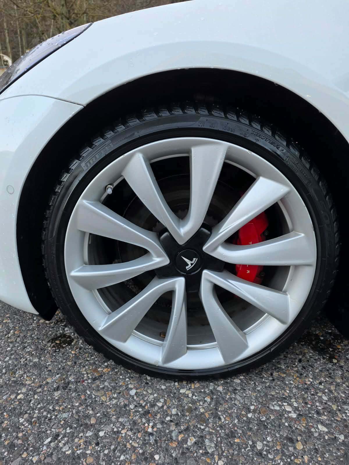 TESLA Model 3 Performance Dual Motor AWD-image-17
