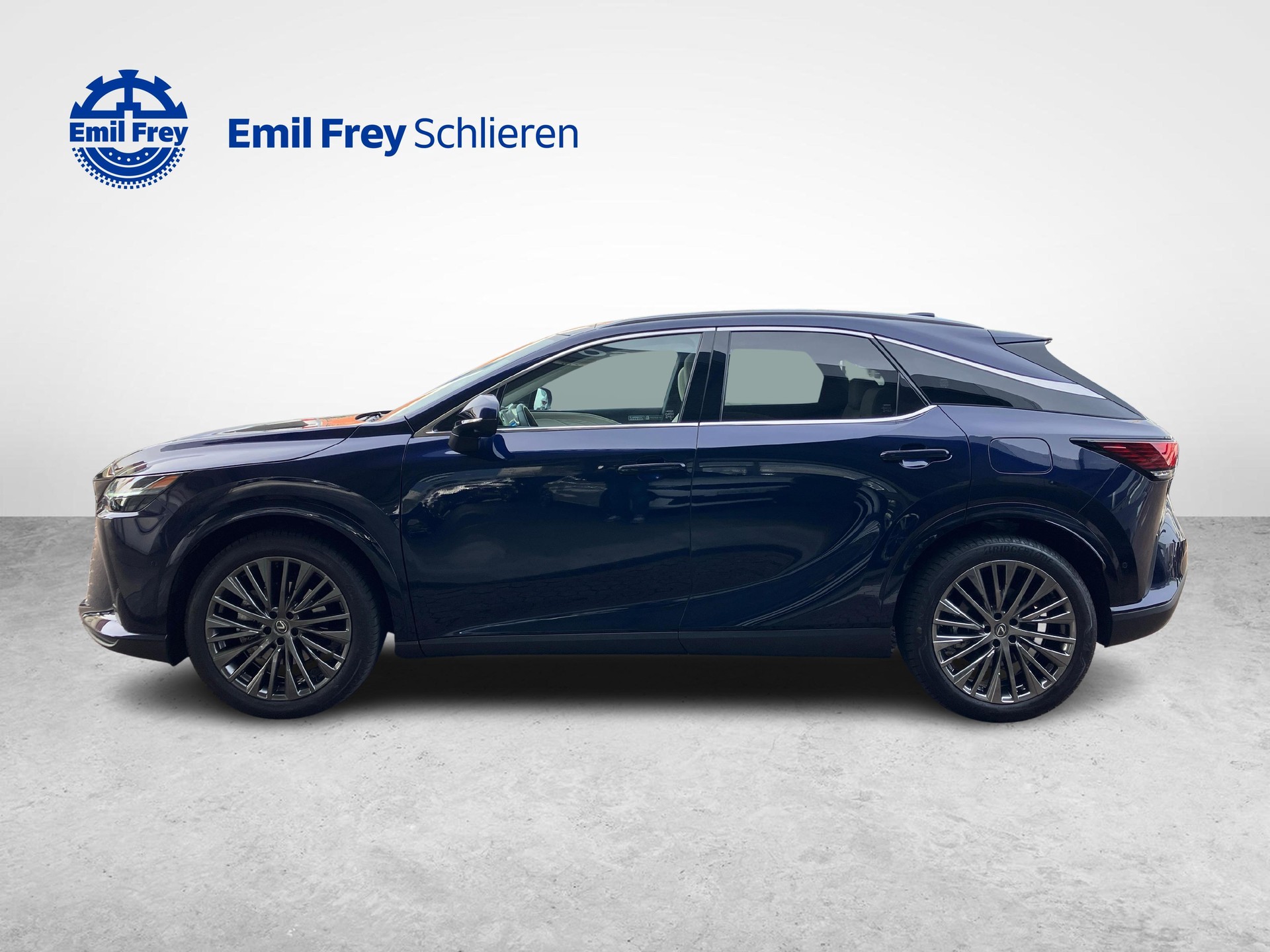 LEXUS RX 450h+ Excellence-showroom-element-1