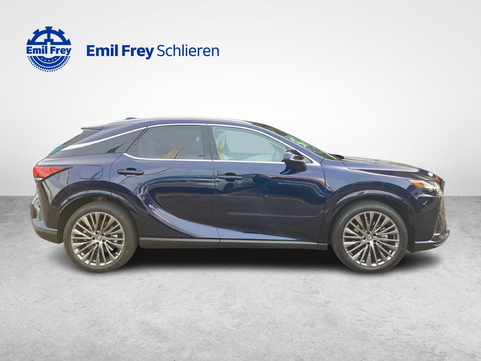 LEXUS RX 450h+ Excellence-image-5