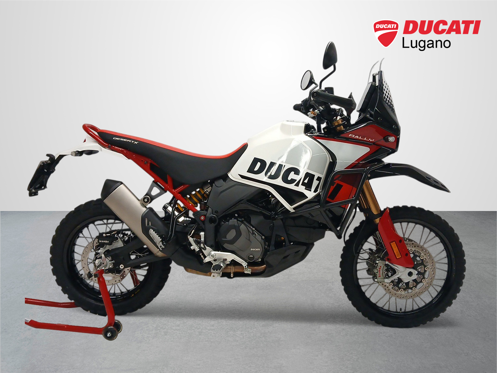 DUCATI Desert X Rally-image-9