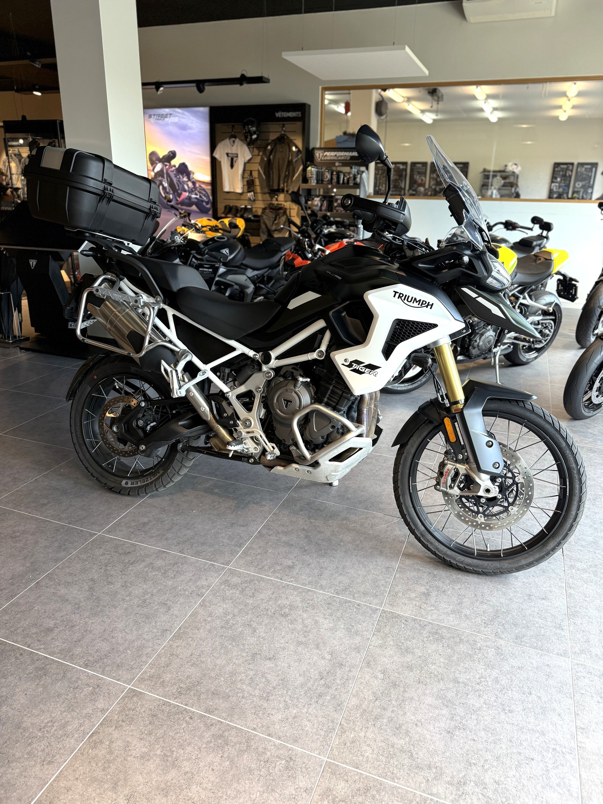 TRIUMPH Tiger 1200 Rally Pro-image-1
