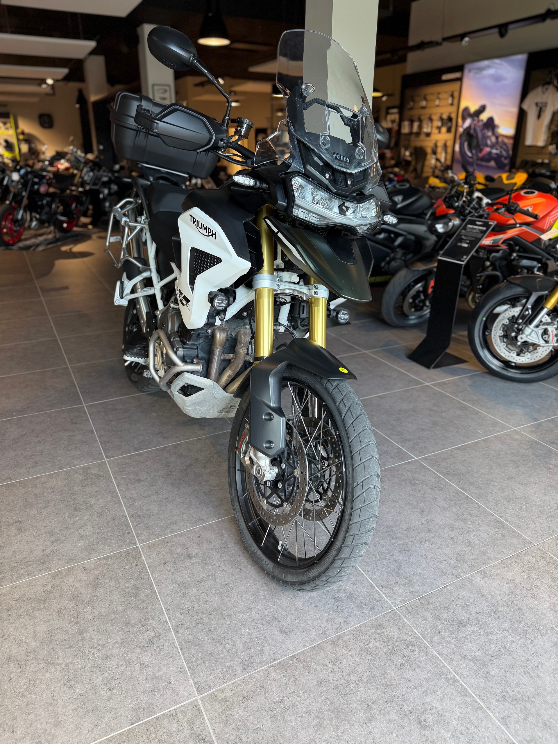 TRIUMPH Tiger 1200 Rally Pro-image-3
