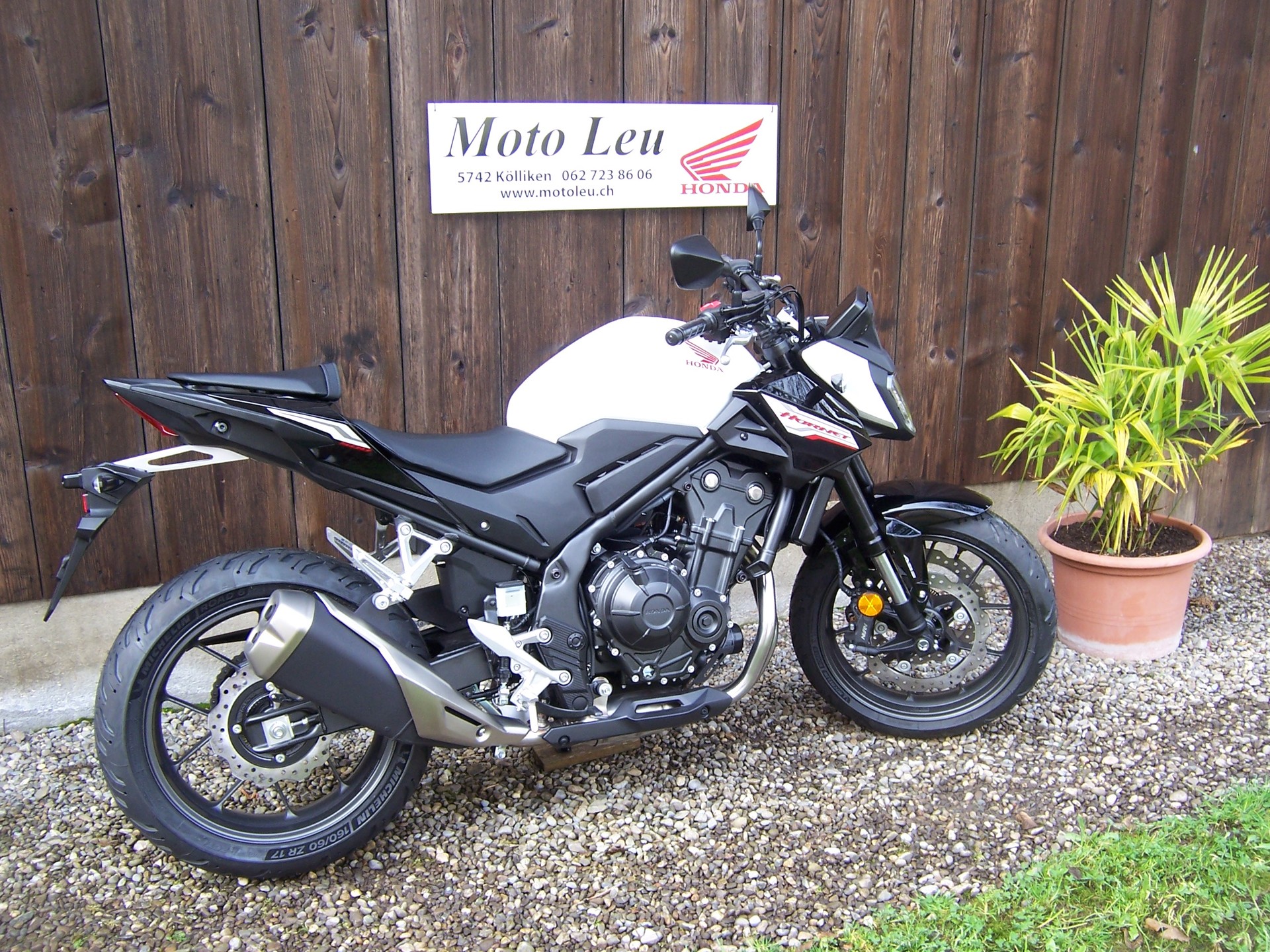 HONDA CB 500 Hornet-image-4