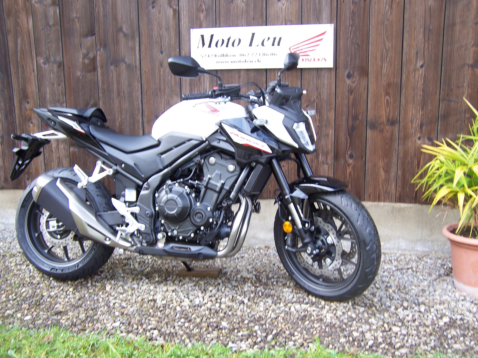 HONDA CB 500 Hornet-image-2