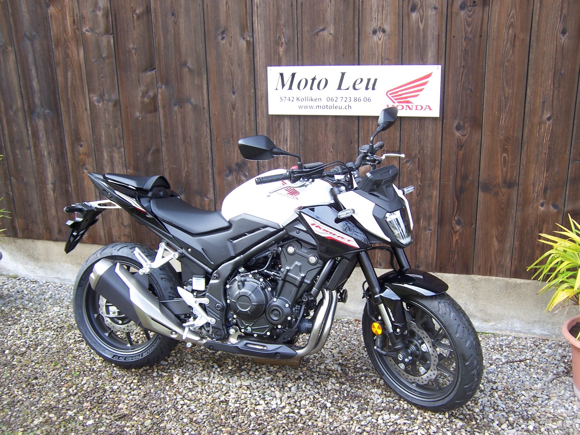 HONDA CB 500 Hornet-image-6