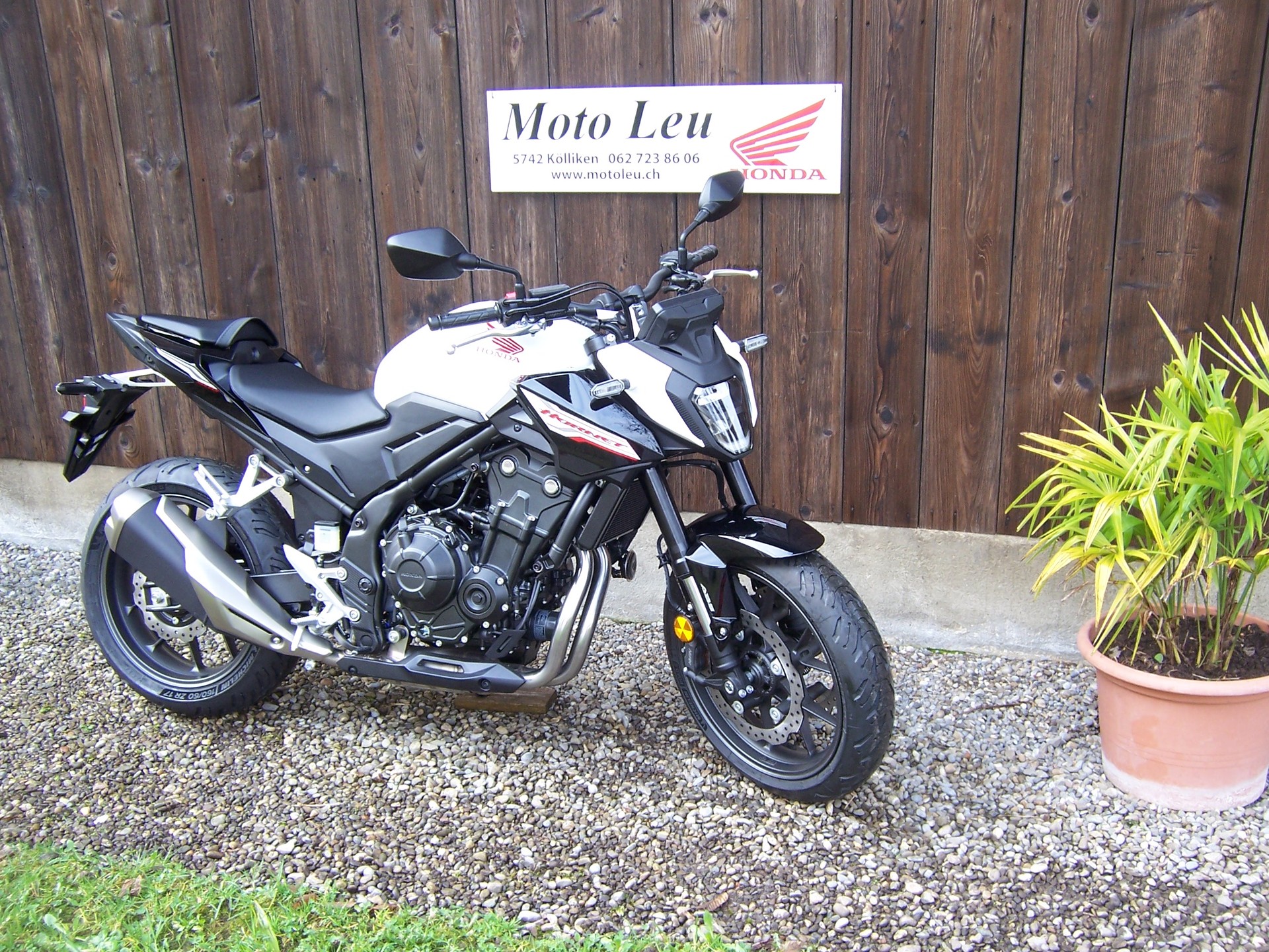 HONDA CB 500 Hornet-image-1