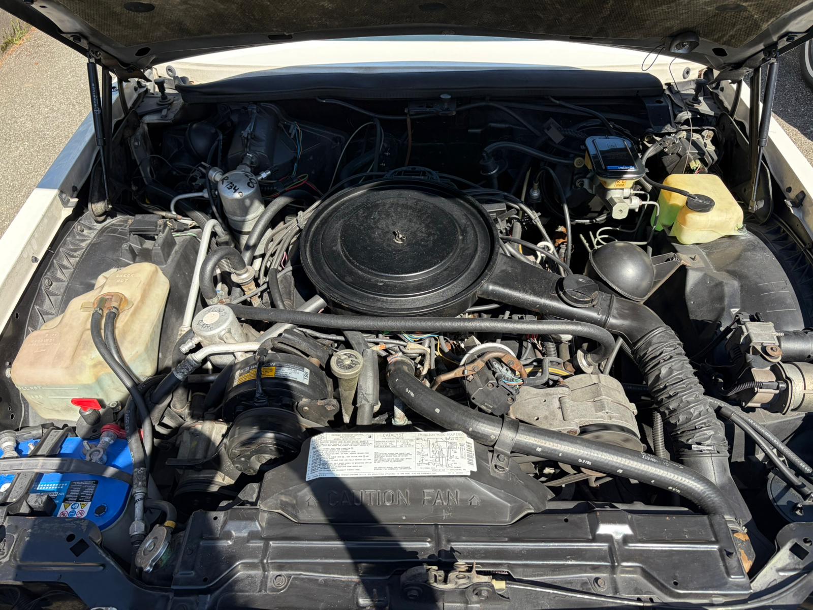 CHEVROLET RS V8 Handgeschaltet-image-4
