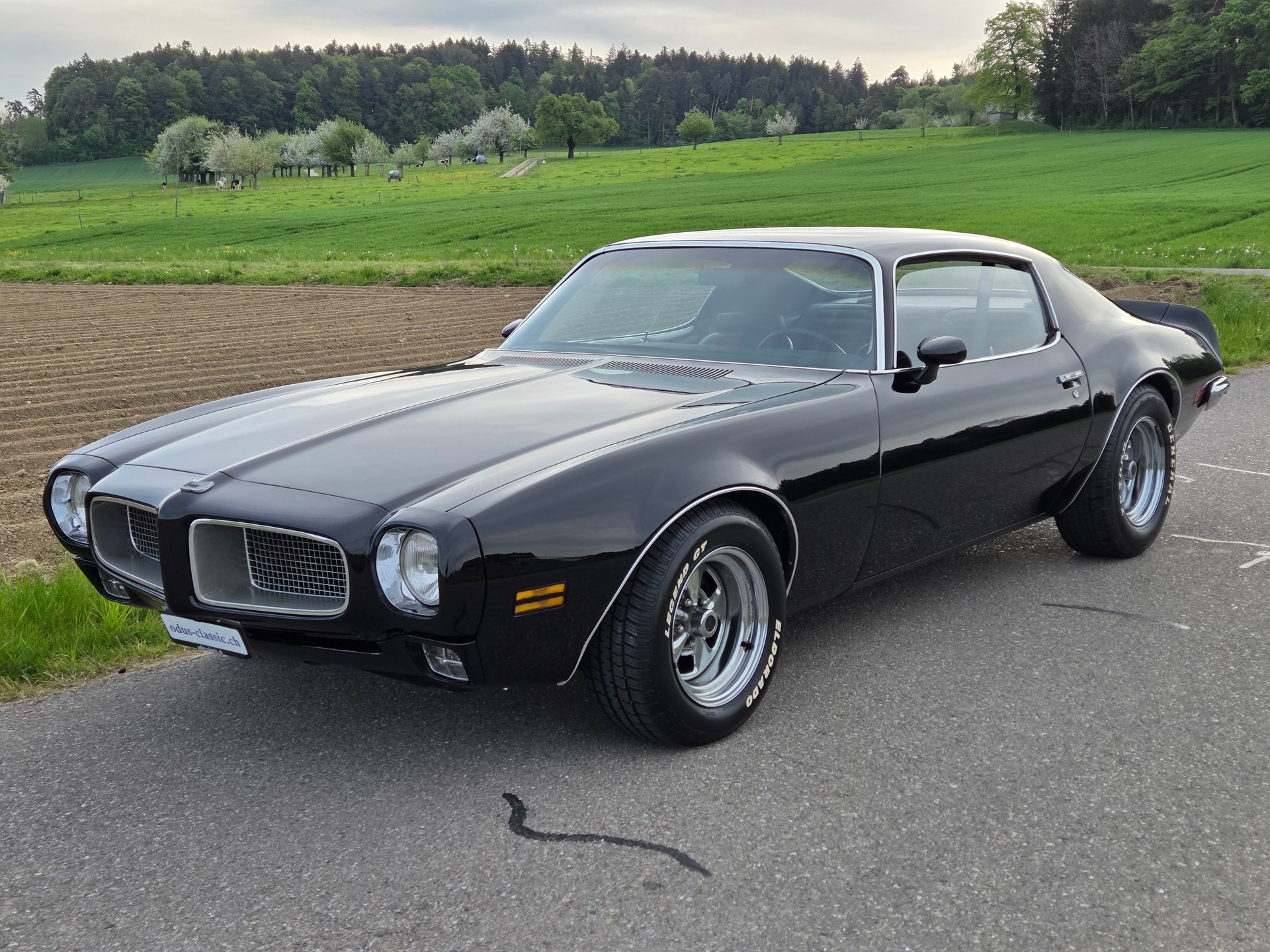 PONTIAC 350 Esprit-image-3