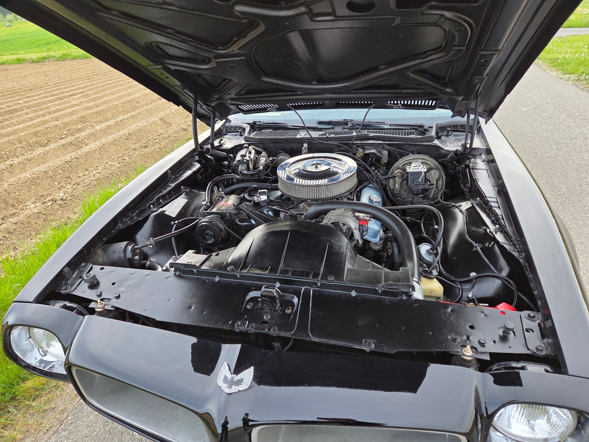 PONTIAC 350 Esprit-image-12