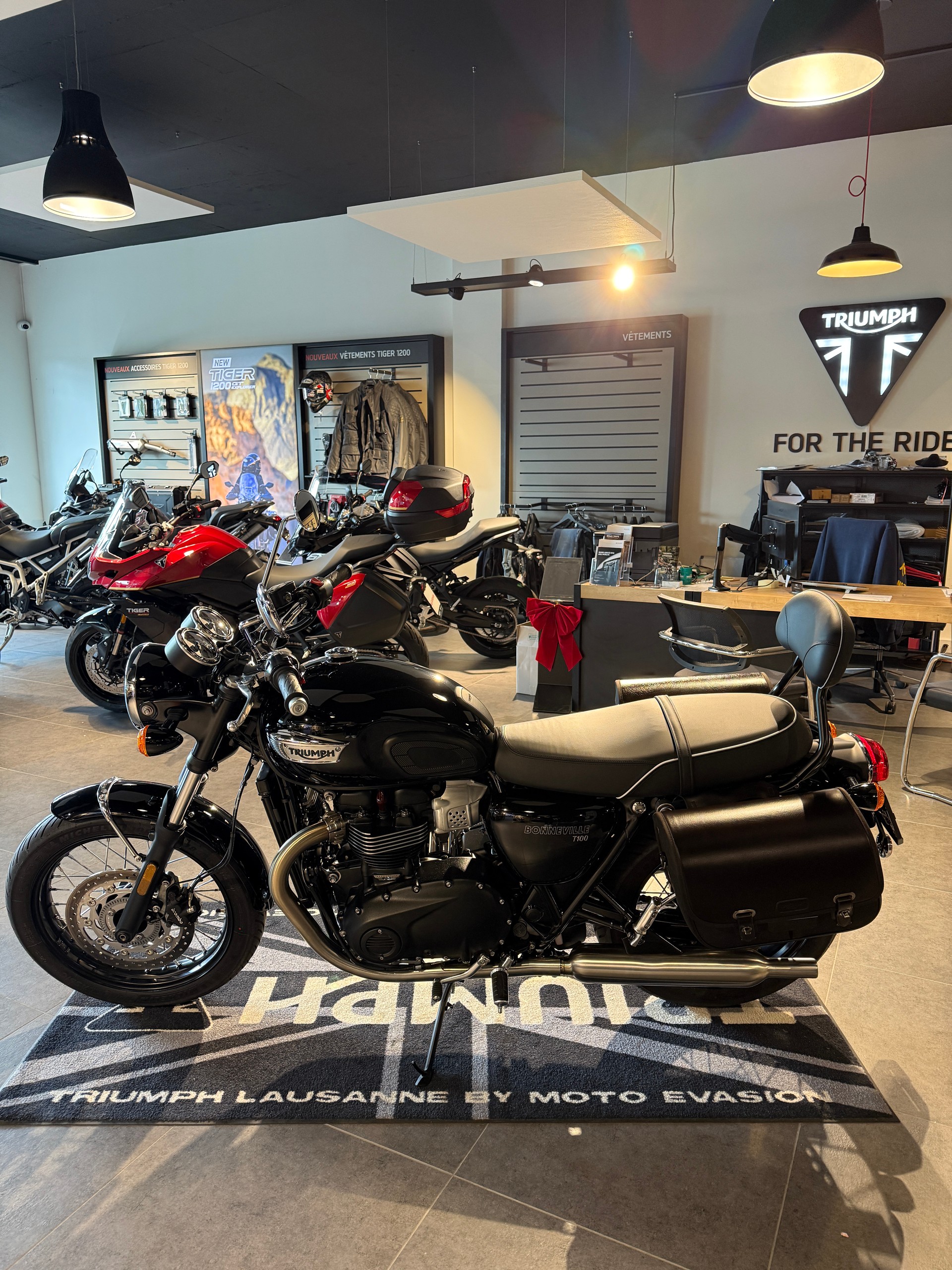 TRIUMPH Bonneville 900 T 100-image-1