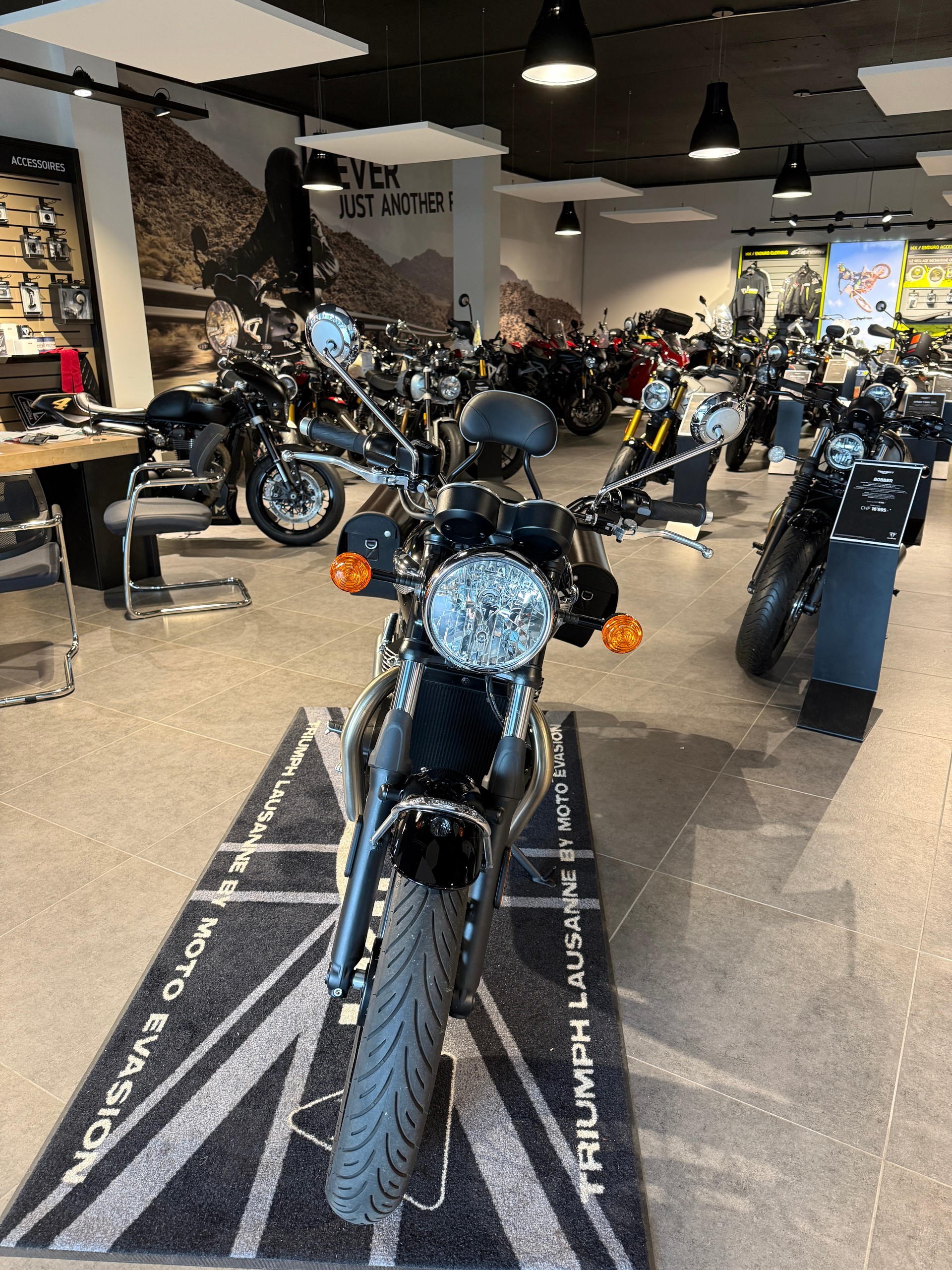 TRIUMPH Bonneville 900 T 100-image-2