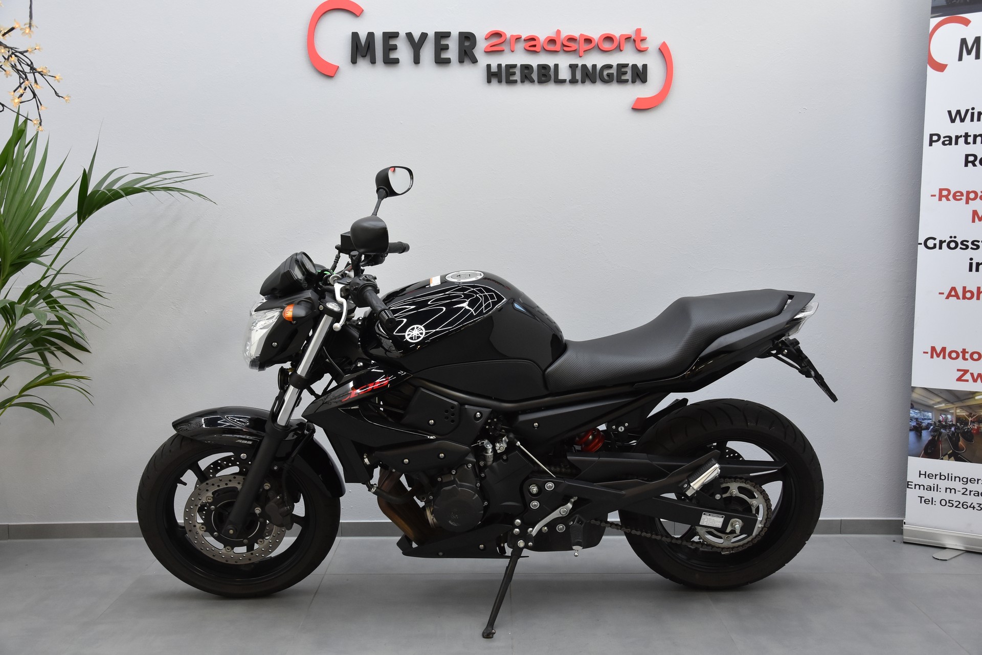 YAMAHA XJ 6 N ABS-image-6