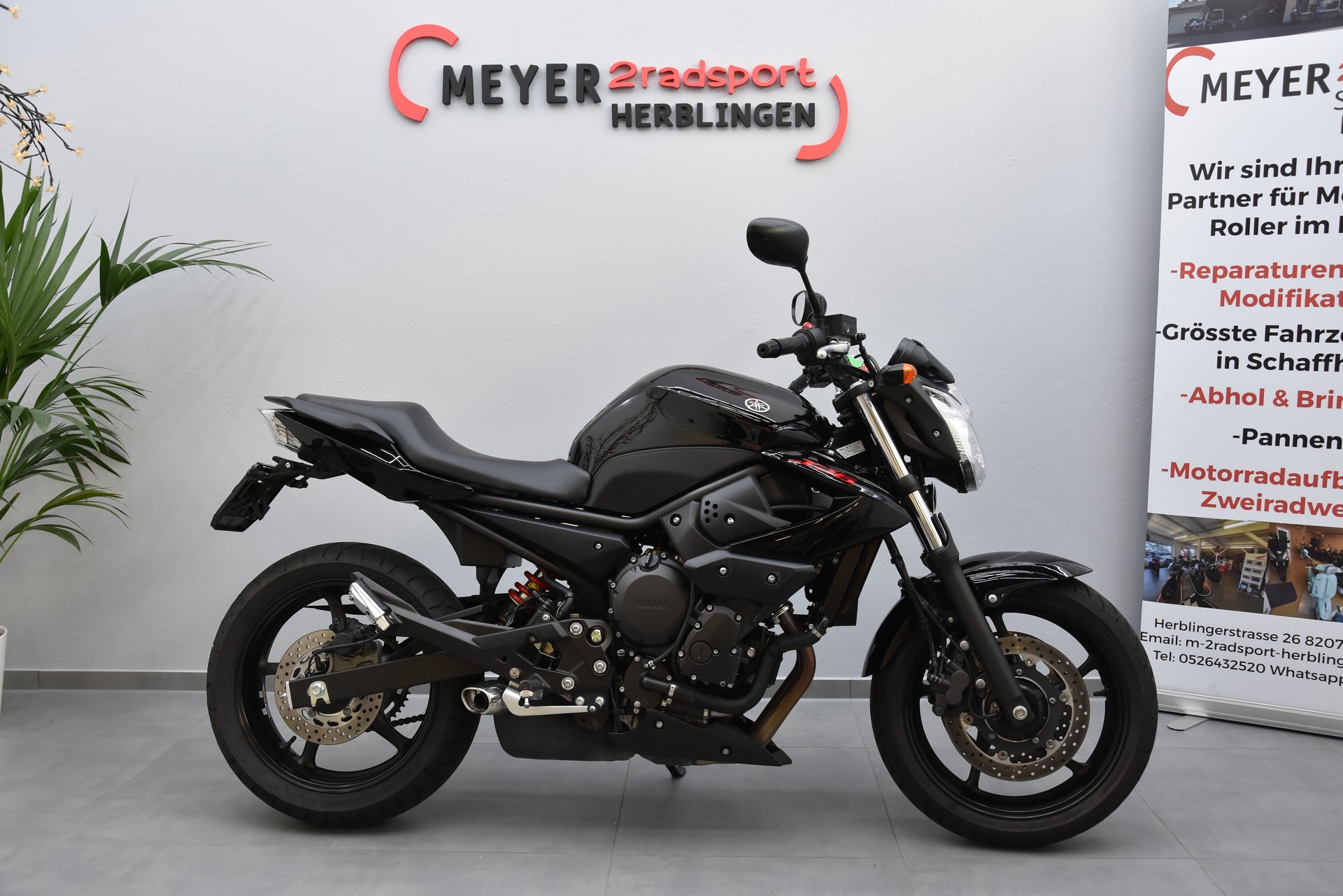 YAMAHA XJ 6 N ABS-image-1
