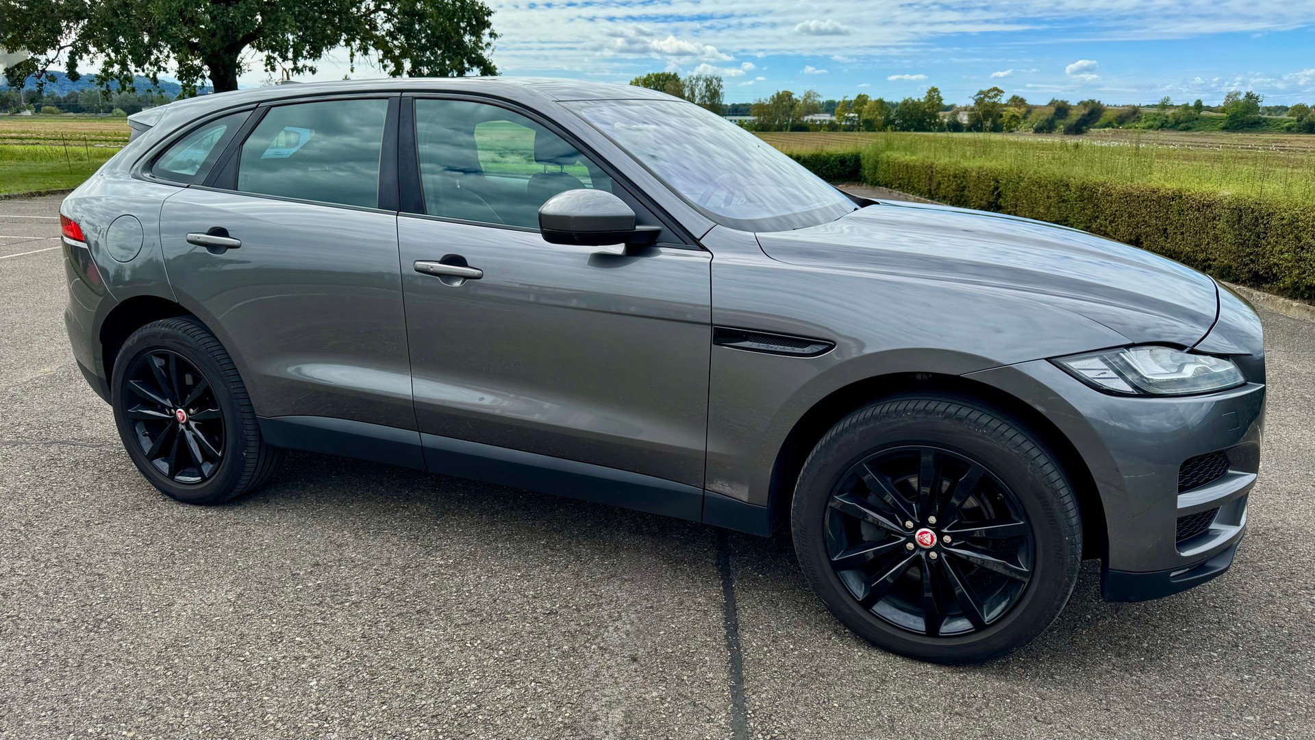 JAGUAR 2.0 T 250 Prestige AWD-image-5
