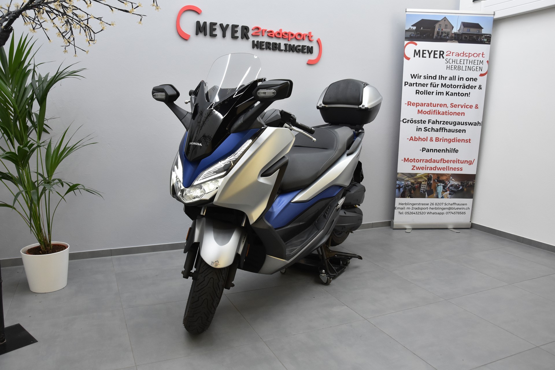 HONDA NSS 125 Forza ABS-image-6