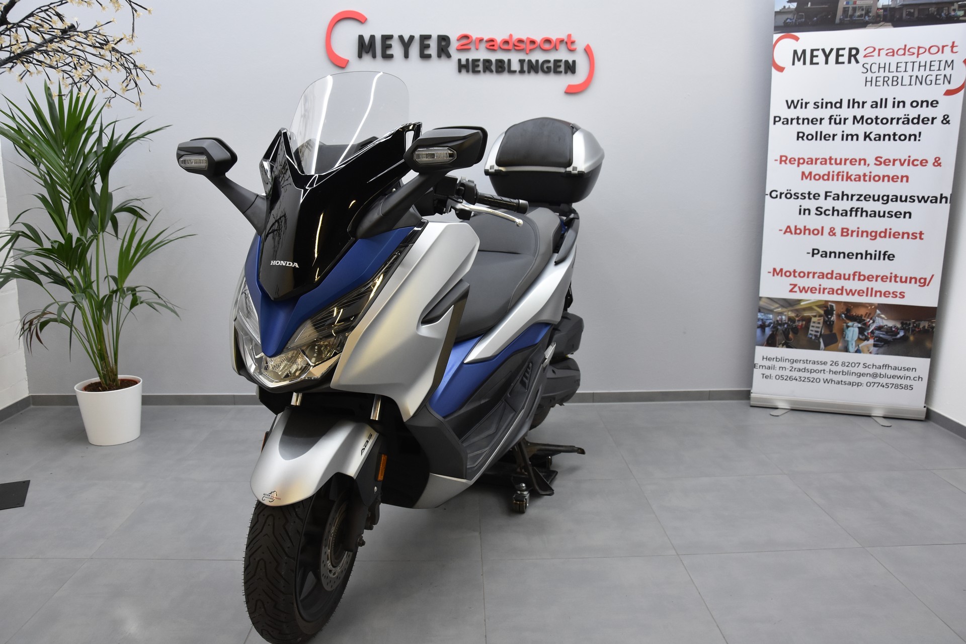 HONDA NSS 125 Forza ABS-image-3