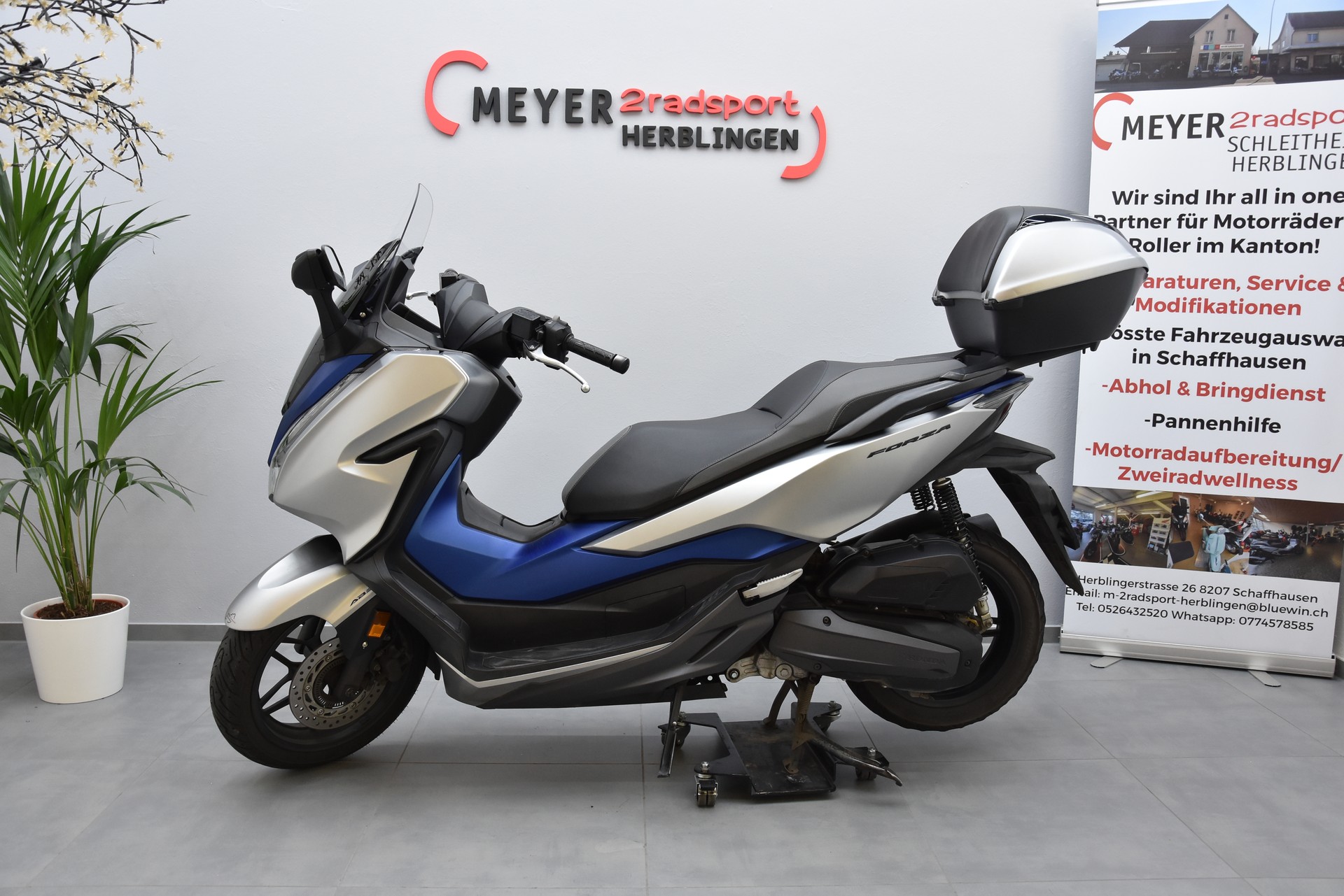 HONDA NSS 125 Forza ABS-image-5